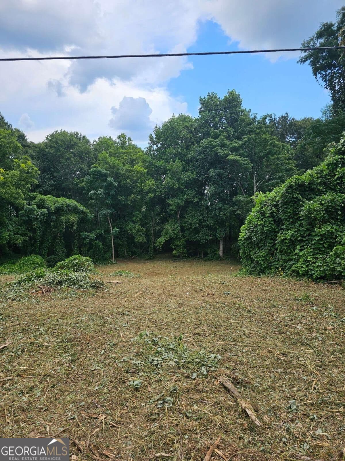 unimproved land for sale at 0 Brookhaven Circle, Toccoa, GA 30577 — photo 1 of 5