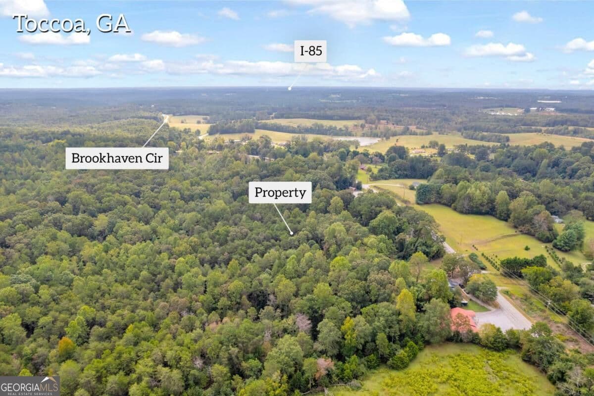 unimproved land for sale at 0 Brookhaven Circle, Toccoa, GA 30577 — photo 5