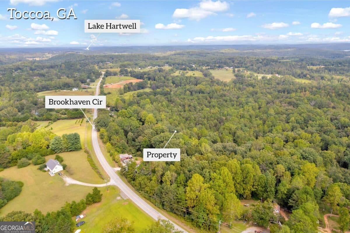 unimproved land for sale at 0 Brookhaven Circle, Toccoa, GA 30577 — photo 4