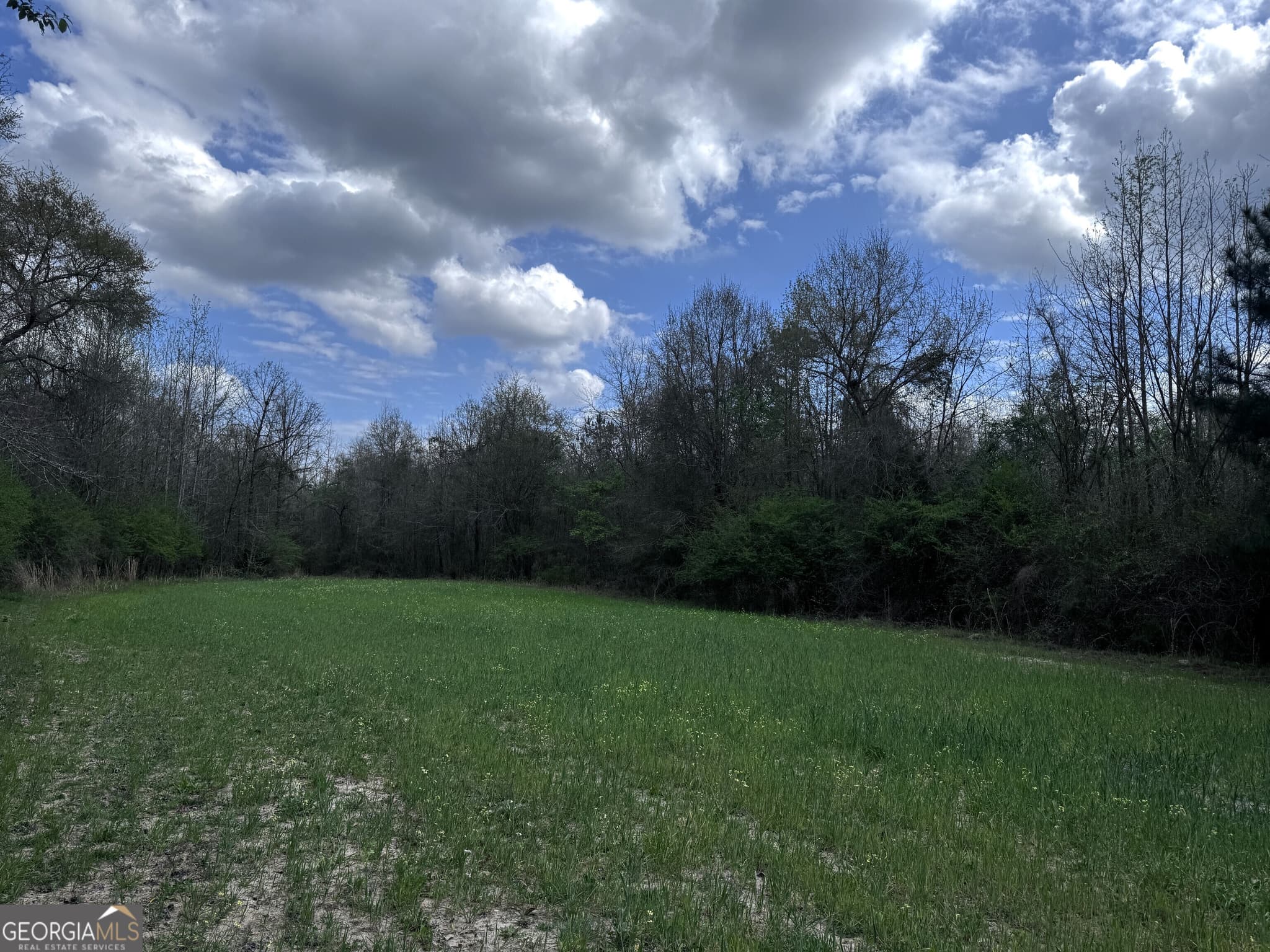 unimproved land for sale at 31+/- AC Highway 26, Buena Vista, GA 31803 — photo 2