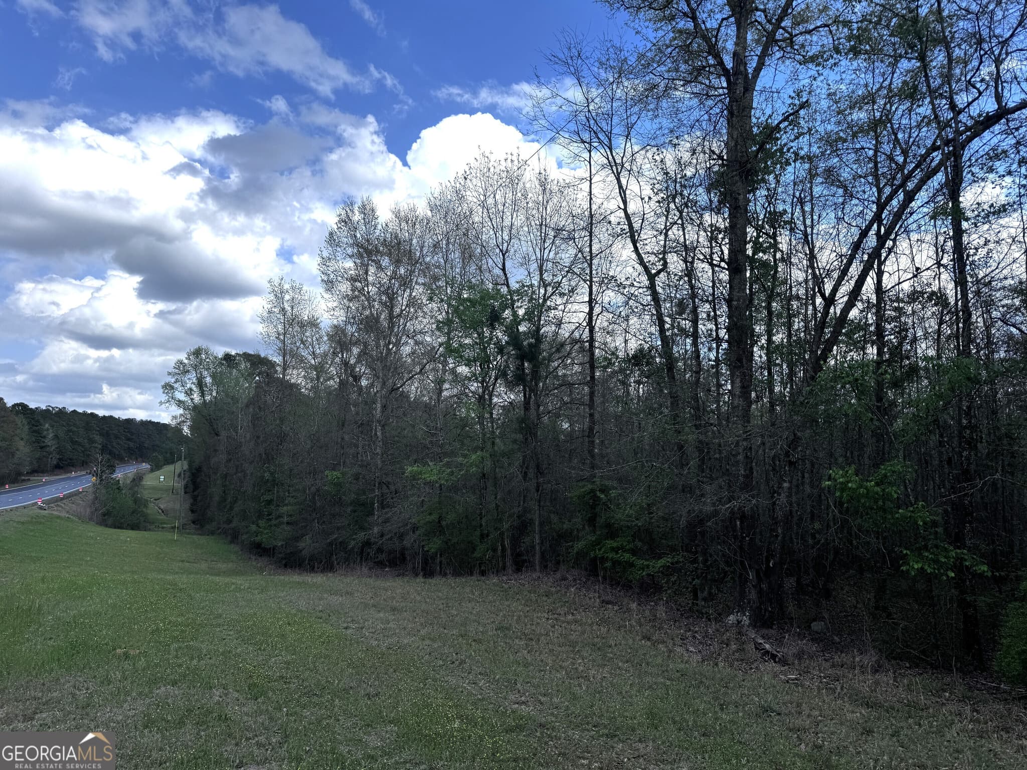 unimproved land for sale at 31+/- AC Highway 26, Buena Vista, GA 31803 — photo 7