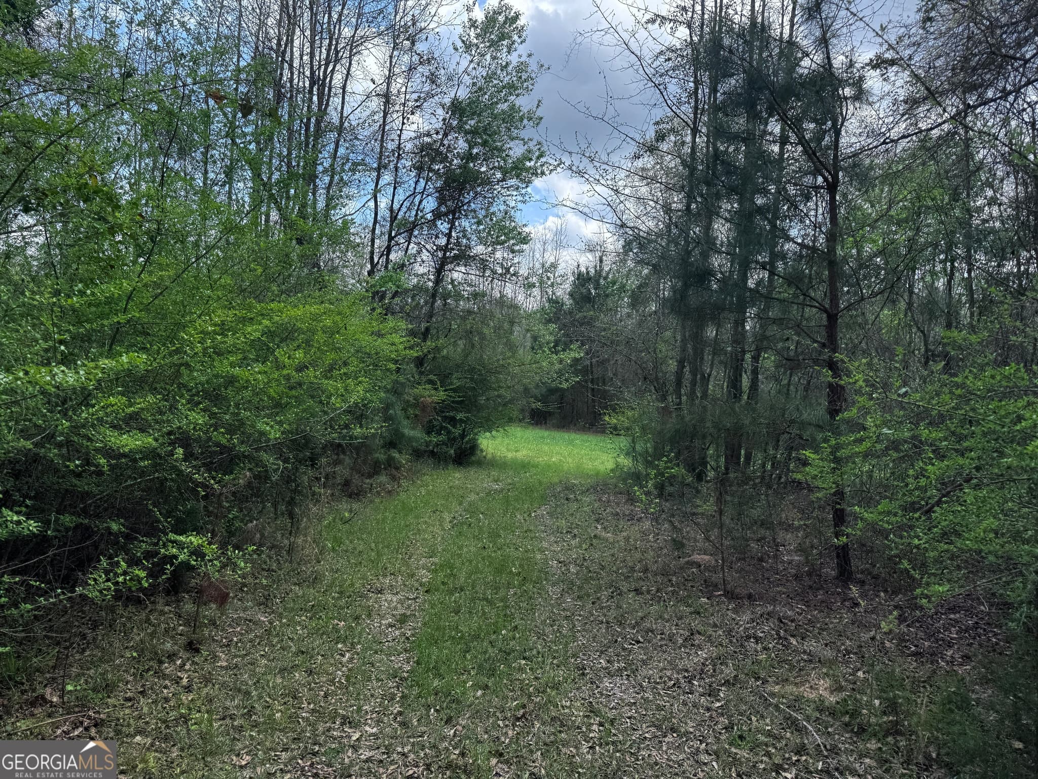 unimproved land for sale at 31+/- AC Highway 26, Buena Vista, GA 31803 — photo 3