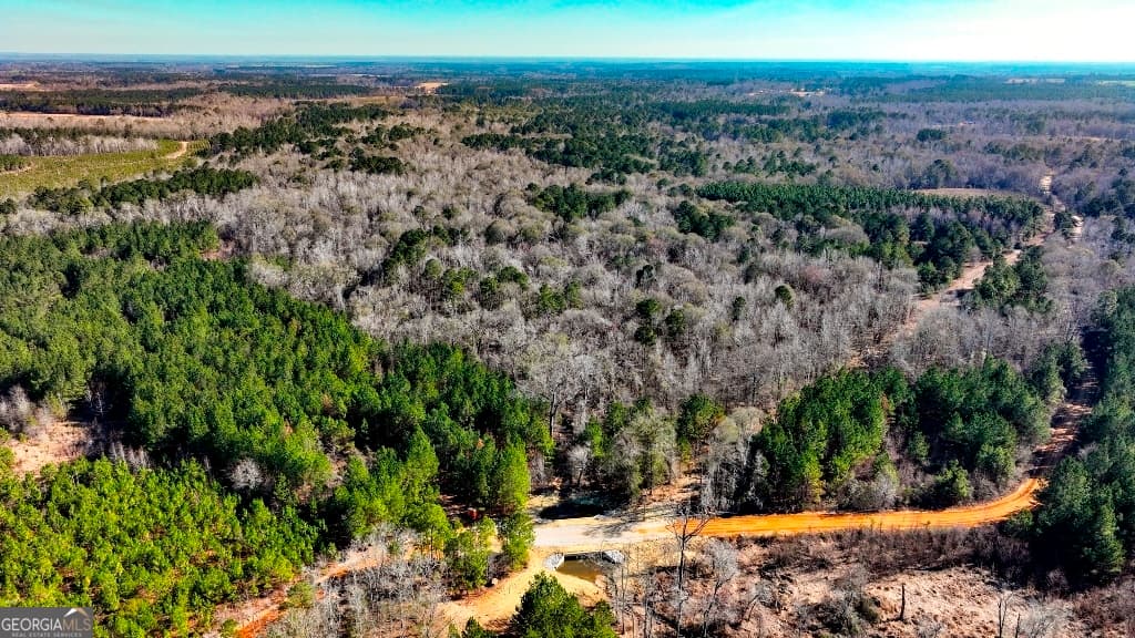 residential lot for sale at 0 Crooked Road TRACT 2, Millen, GA 30442 — photo 6