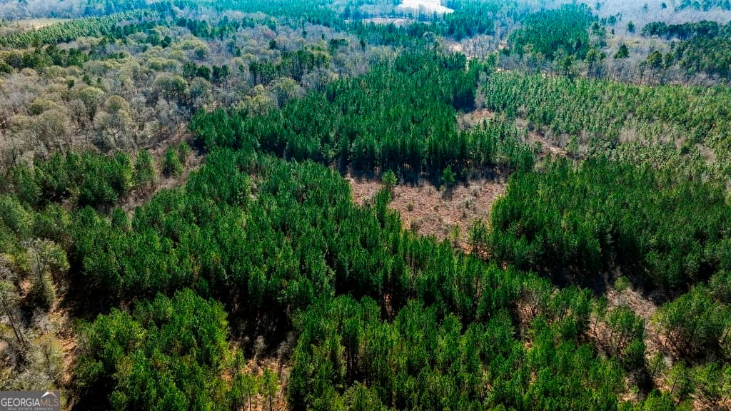 residential lot for sale at 0 Crooked Road TRACT 2, Millen, GA 30442 — photo 7