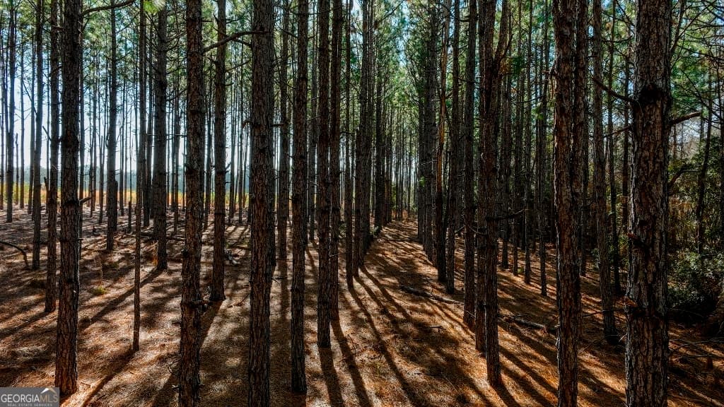 residential lot for sale at 0 Crooked Road TRACT 2, Millen, GA 30442 — photo 10