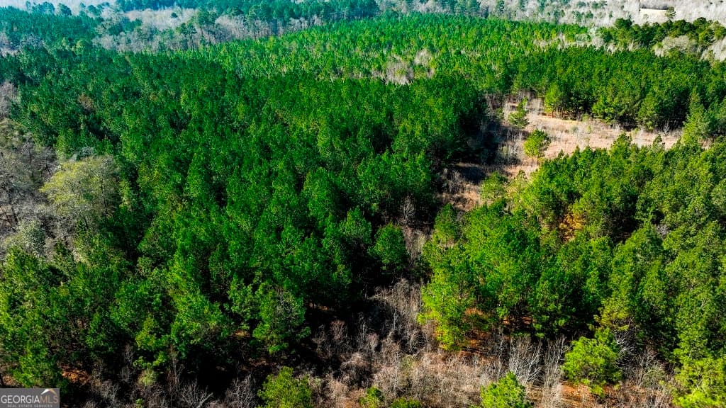 residential lot for sale at 0 Crooked Road TRACT 2, Millen, GA 30442 — photo 8