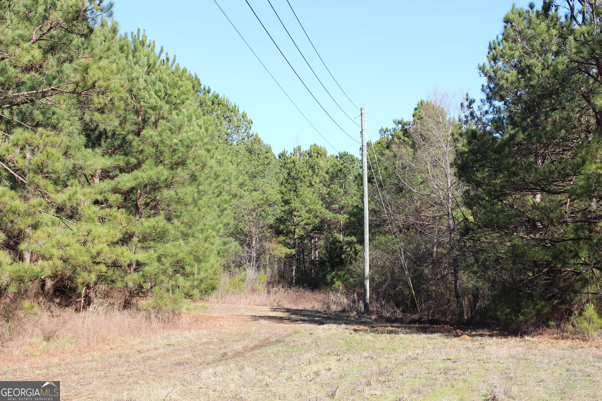 commercial for sale at 0 Hix Road, Kellyton, AL 35089 — photo 6