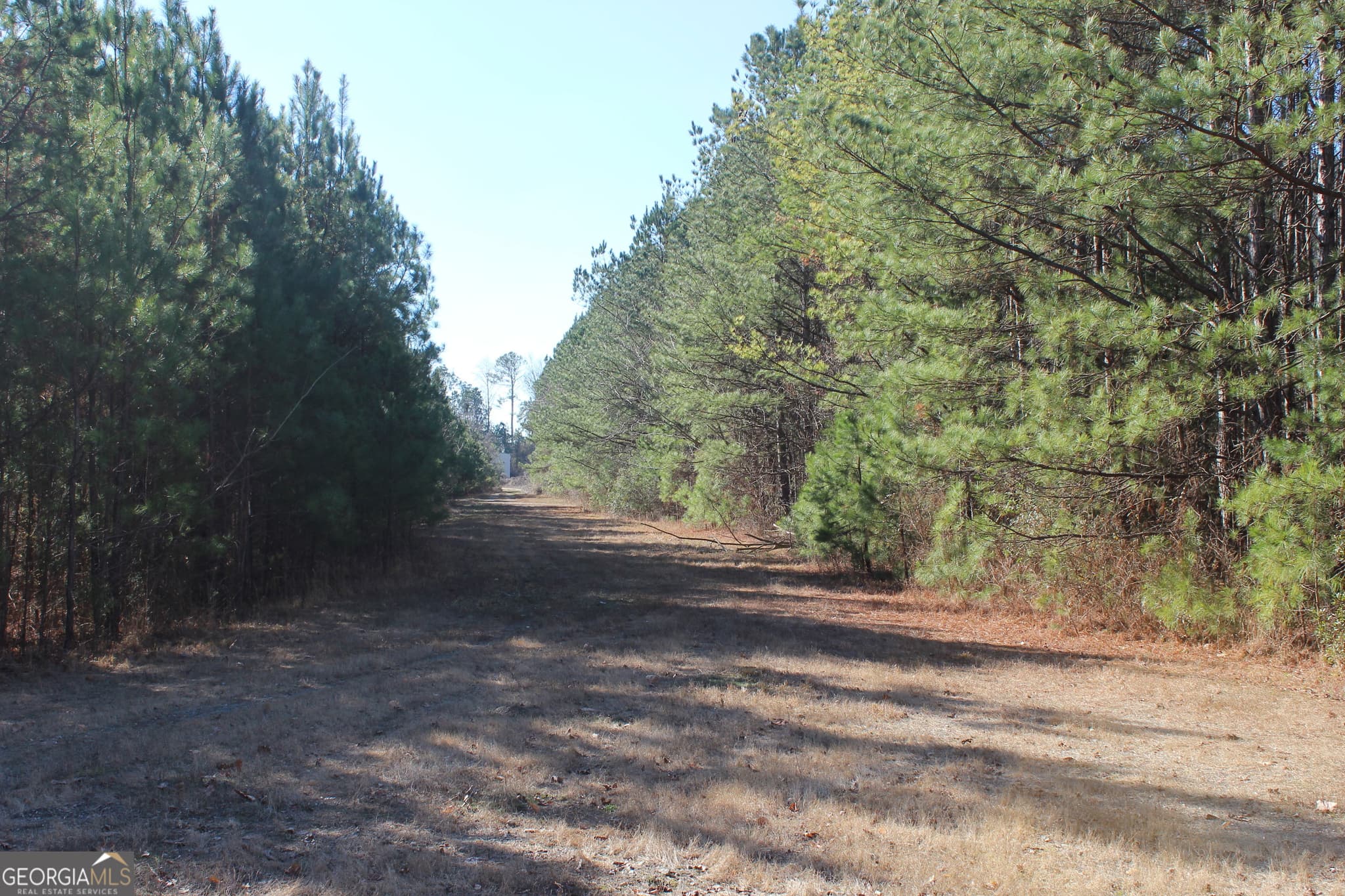 commercial for sale at 0 Hix Road, Kellyton, AL 35089 — photo 3