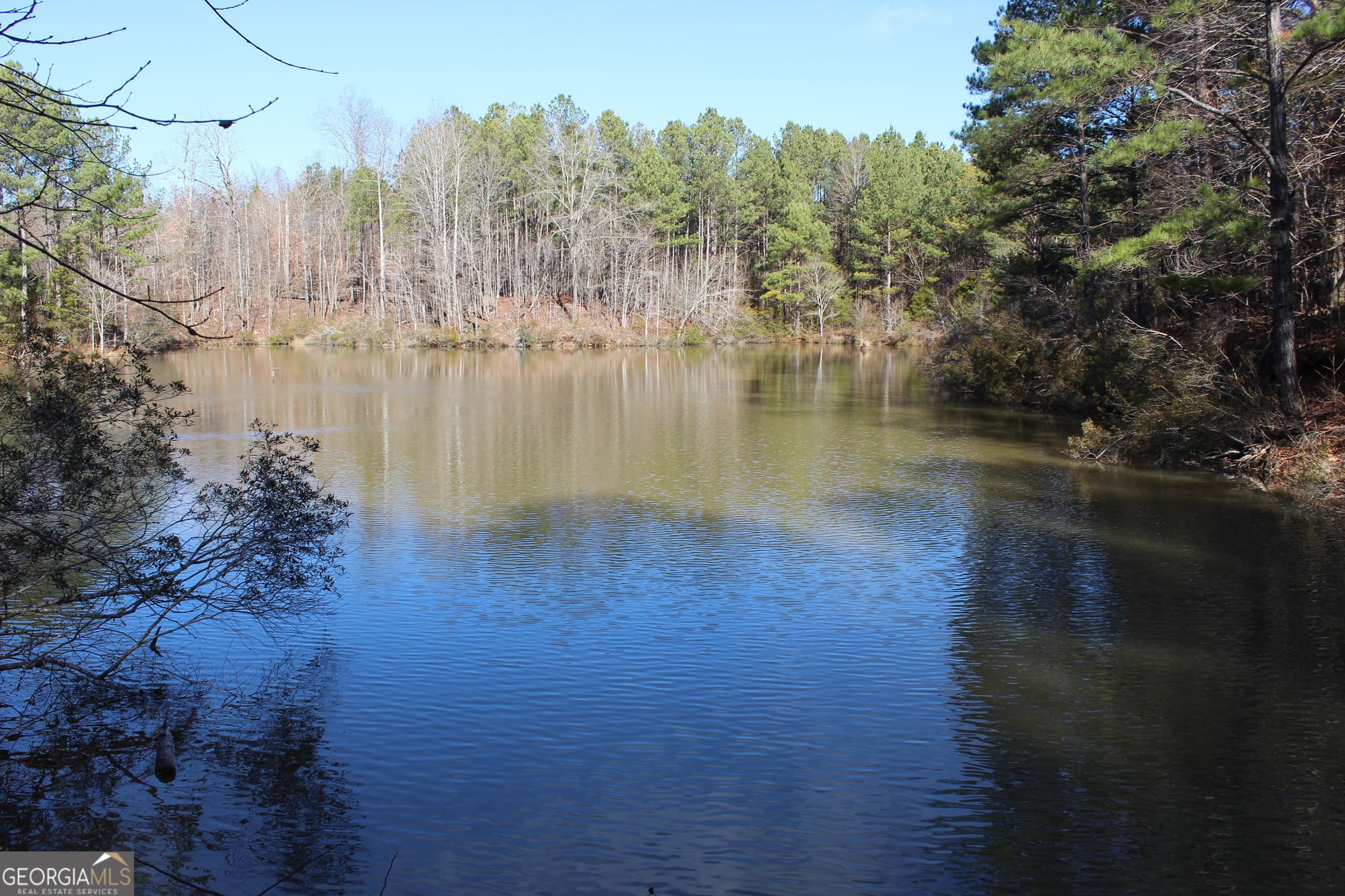 commercial for sale at 0 Hix Road, Kellyton, AL 35089 — photo 4