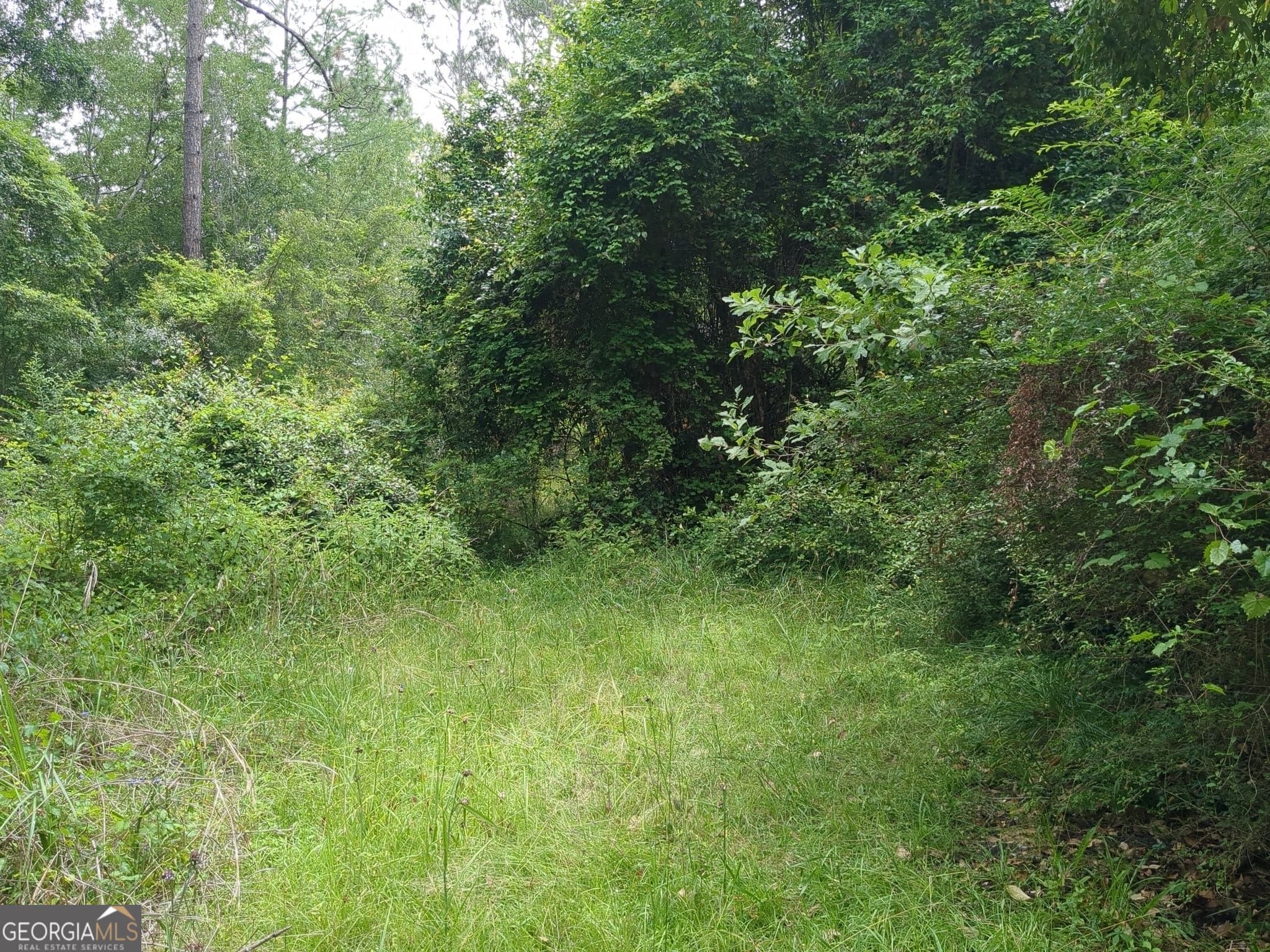 residential lot for sale at 703 Parrish Avenue, Sparks, GA 31647 — photo 2