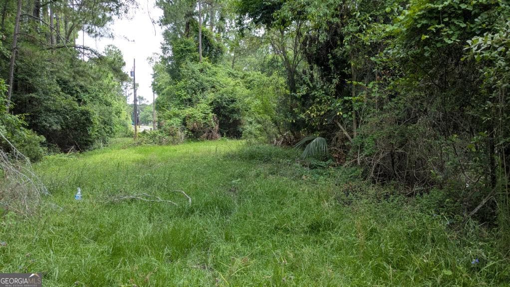 residential lot for sale at 703 Parrish Avenue, Sparks, GA 31647 — photo 6