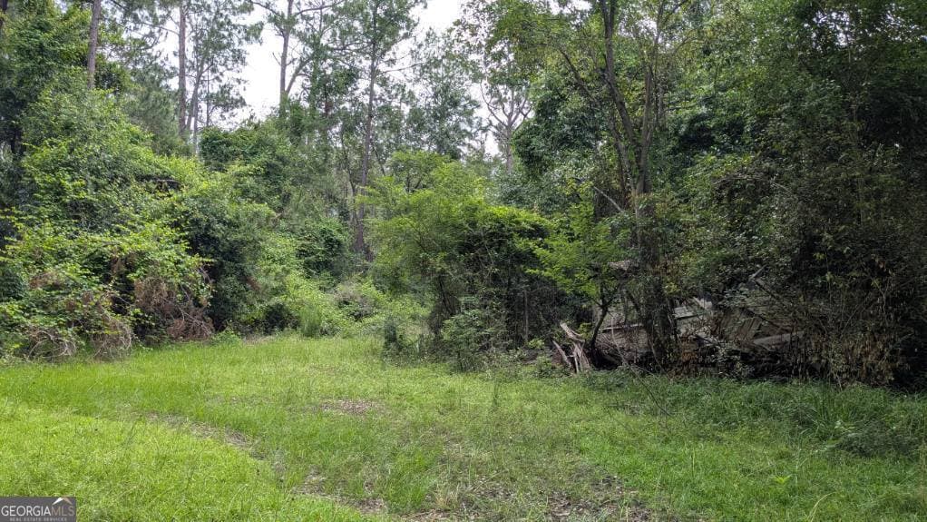 residential lot for sale at 703 Parrish Avenue, Sparks, GA 31647