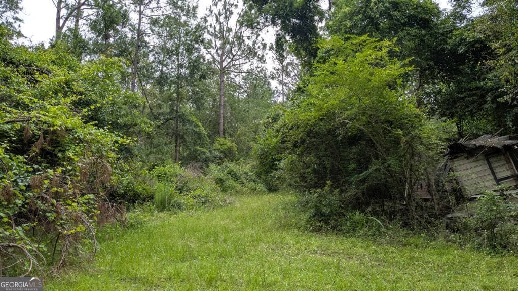 residential lot for sale at 703 Parrish Avenue, Sparks, GA 31647 — photo 5