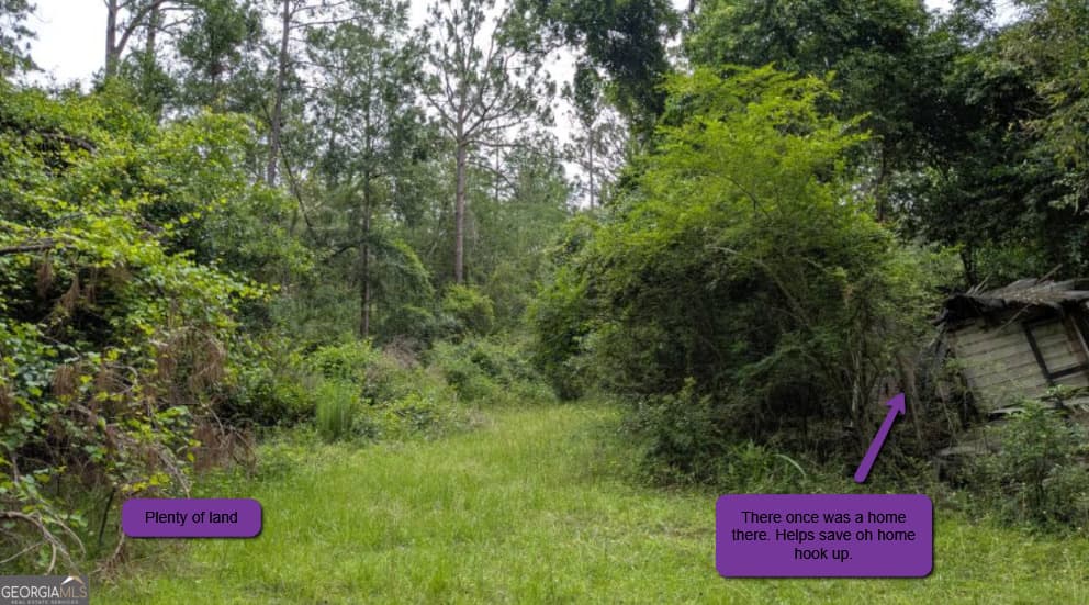 residential lot for sale at 703 Parrish Avenue, Sparks, GA 31647 — photo 10