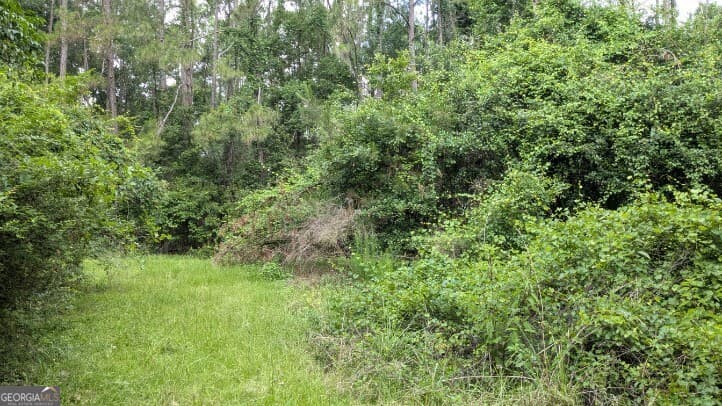 residential lot for sale at 703 Parrish Avenue, Sparks, GA 31647 — photo 4