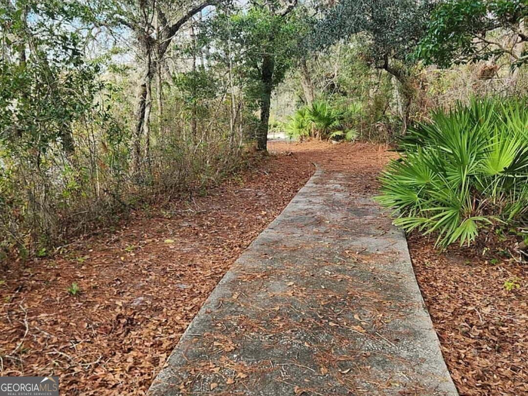 residential lot for sale at 415 Lake Deborah Drive, Folkston, GA 31537 — photo 8