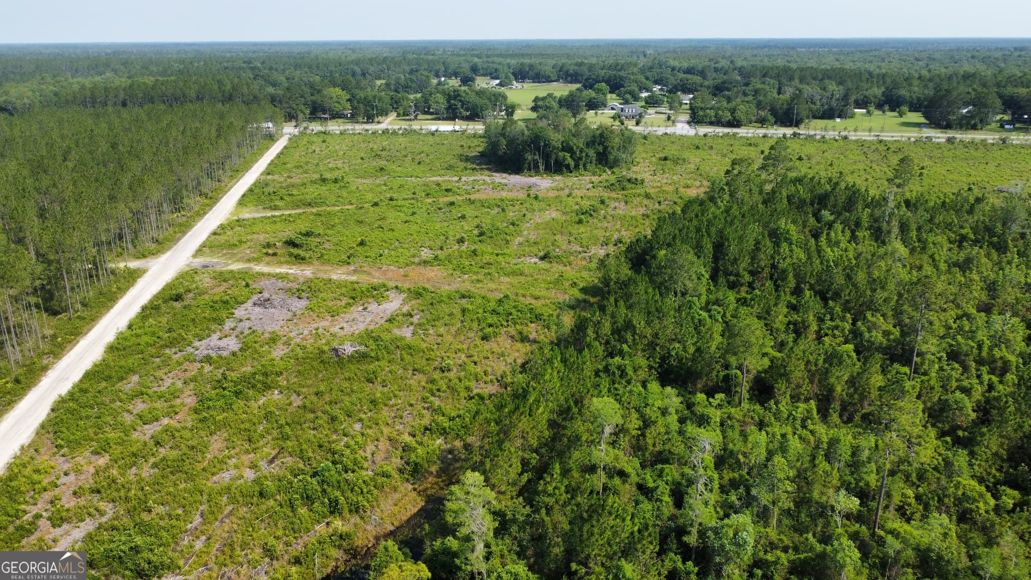 unimproved land for sale at 0 Highway 84 4, Homerville, GA 31634 — photo 6