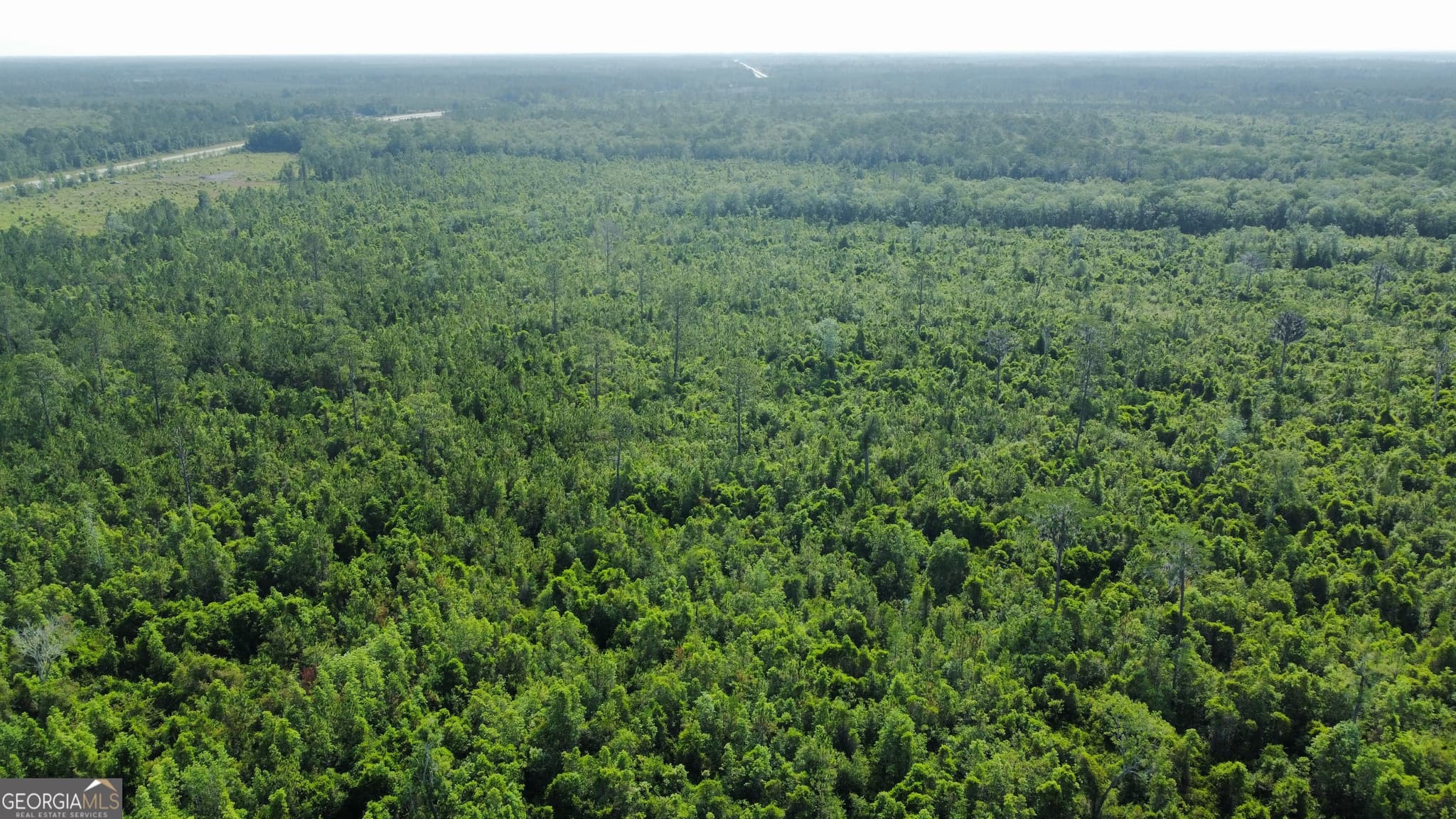unimproved land for sale at 0 Highway 84 4, Homerville, GA 31634 — photo 7
