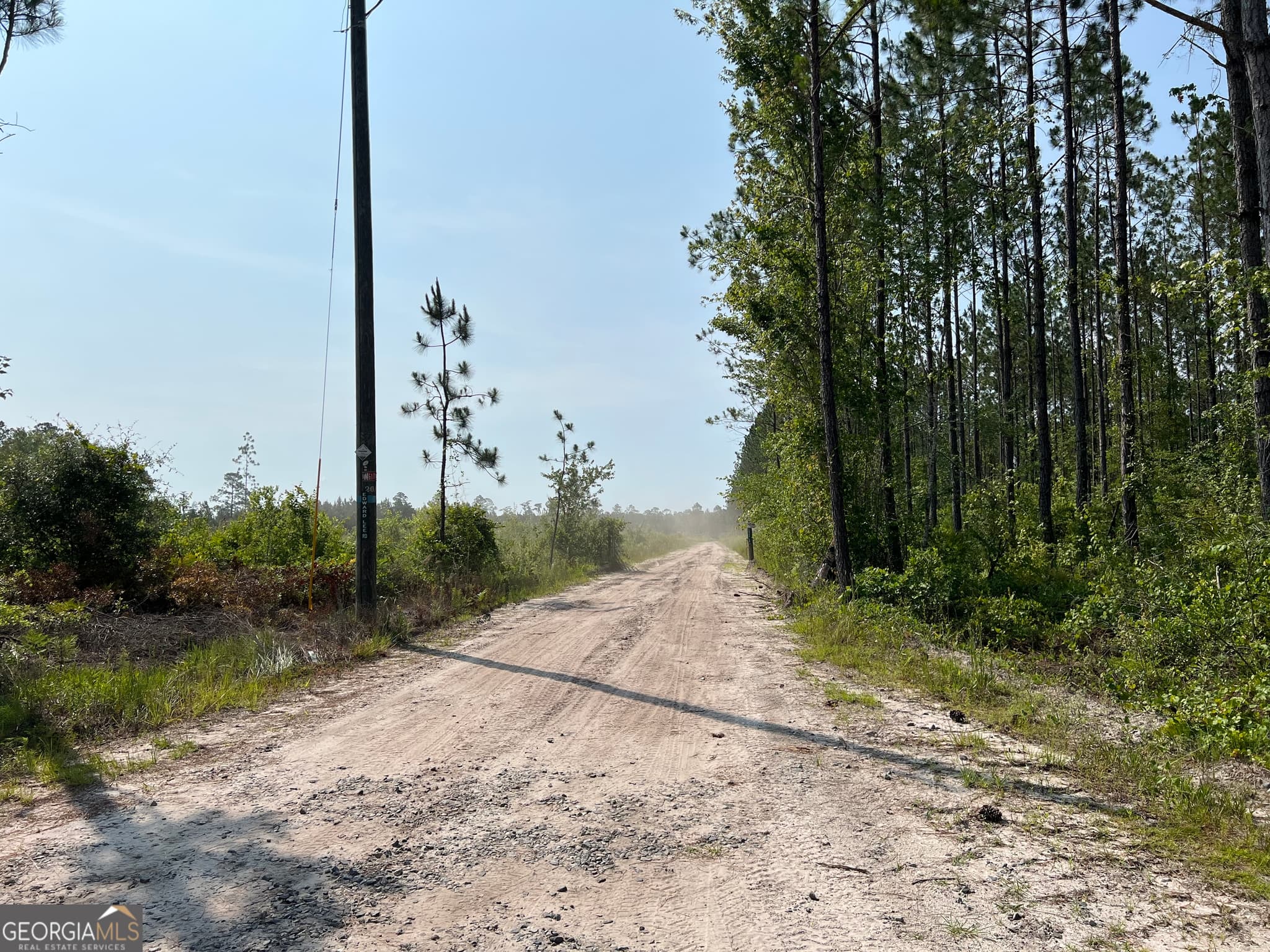 unimproved land for sale at 0 Highway 84 4, Homerville, GA 31634 — photo 1 of 8