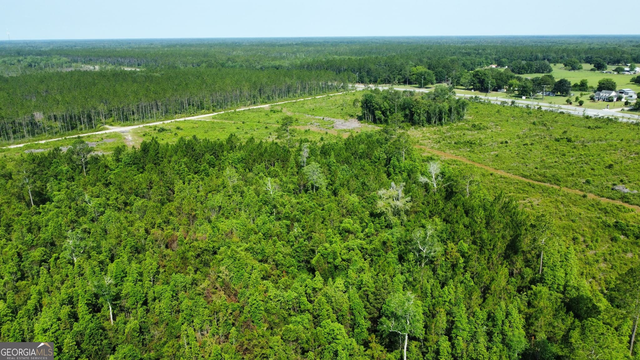 unimproved land for sale at 0 Highway 84 4, Homerville, GA 31634 — photo 5