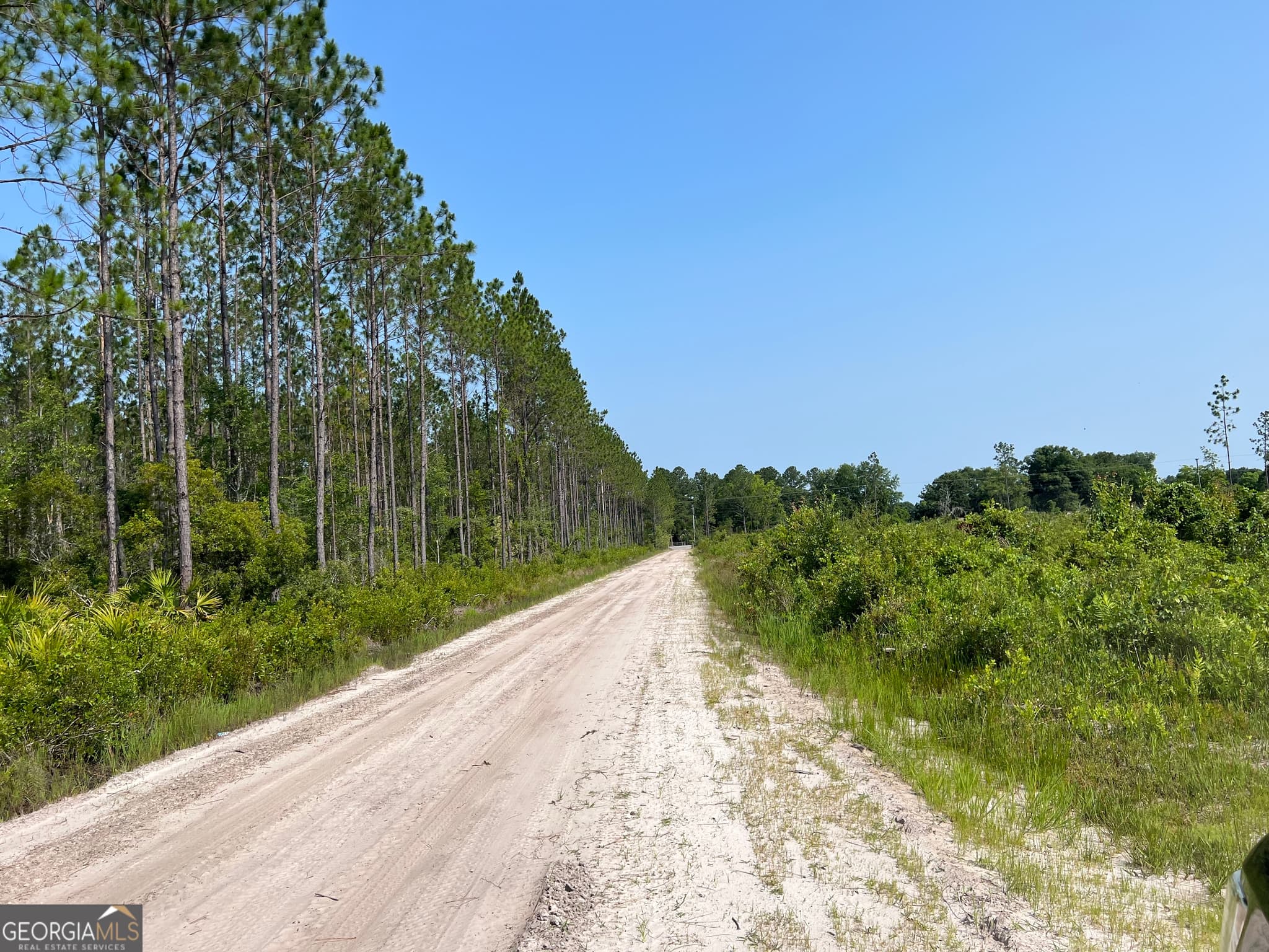 unimproved land for sale at 0 Highway 84 4, Homerville, GA 31634 — photo 8