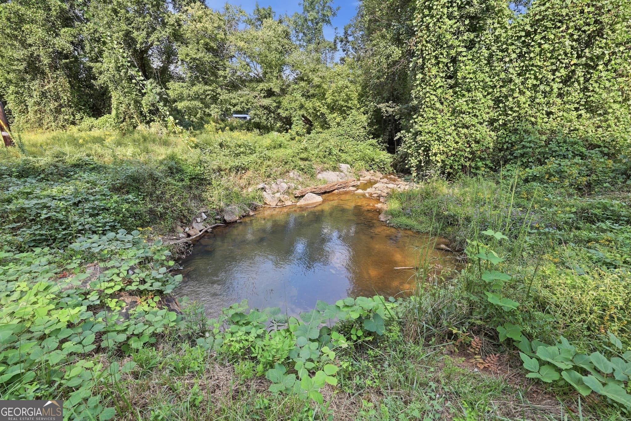 residential lot for sale at 850 FERNSIDE Drive, Toccoa, GA 30577 — photo 2