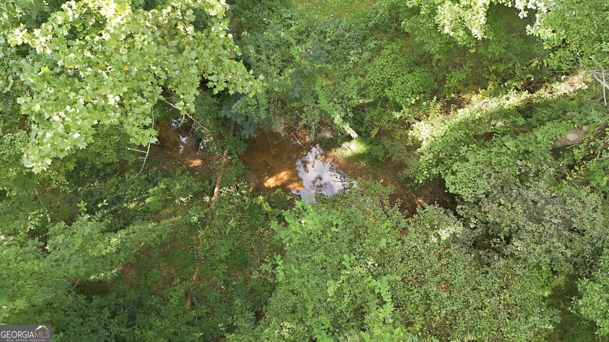 residential lot for sale at 850 FERNSIDE Drive, Toccoa, GA 30577 — photo 6