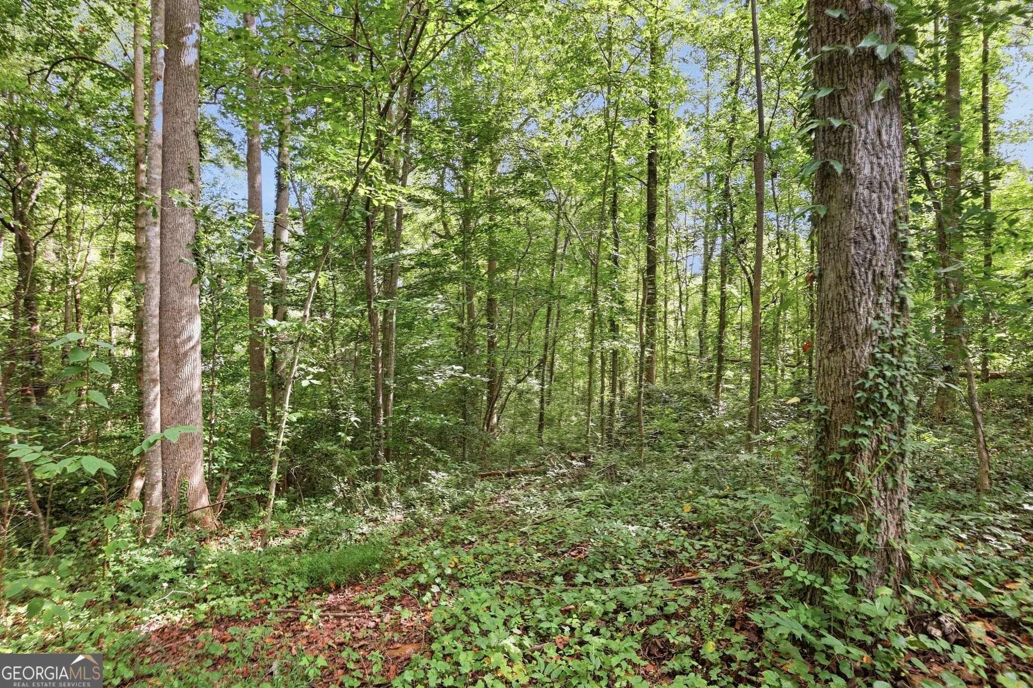 residential lot for sale at 850 FERNSIDE Drive, Toccoa, GA 30577 — photo 7