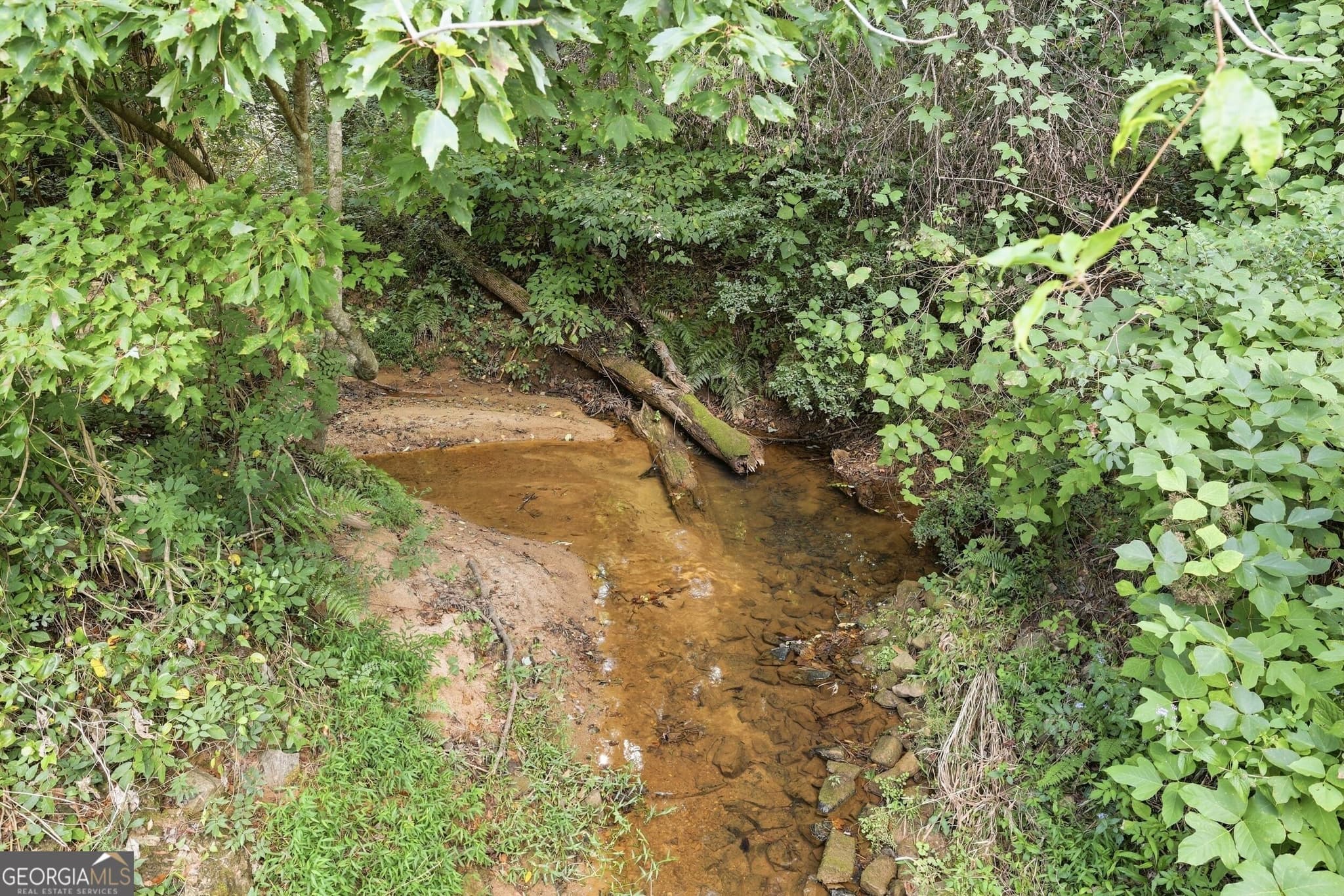 residential lot for sale at 850 FERNSIDE Drive, Toccoa, GA 30577 — photo 5