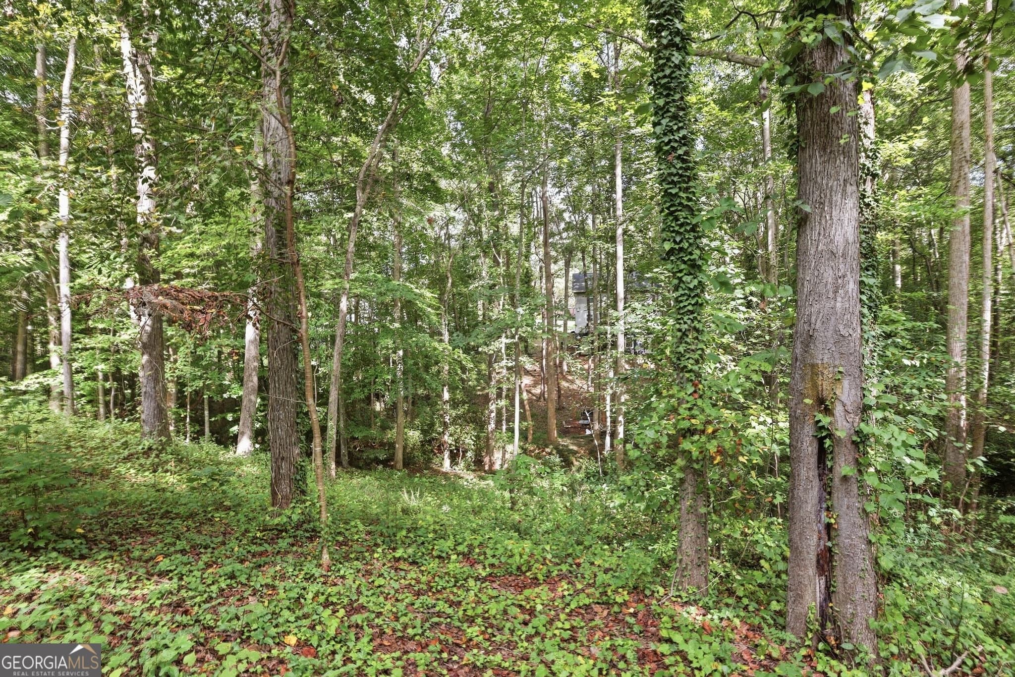 residential lot for sale at 850 FERNSIDE Drive, Toccoa, GA 30577 — photo 9