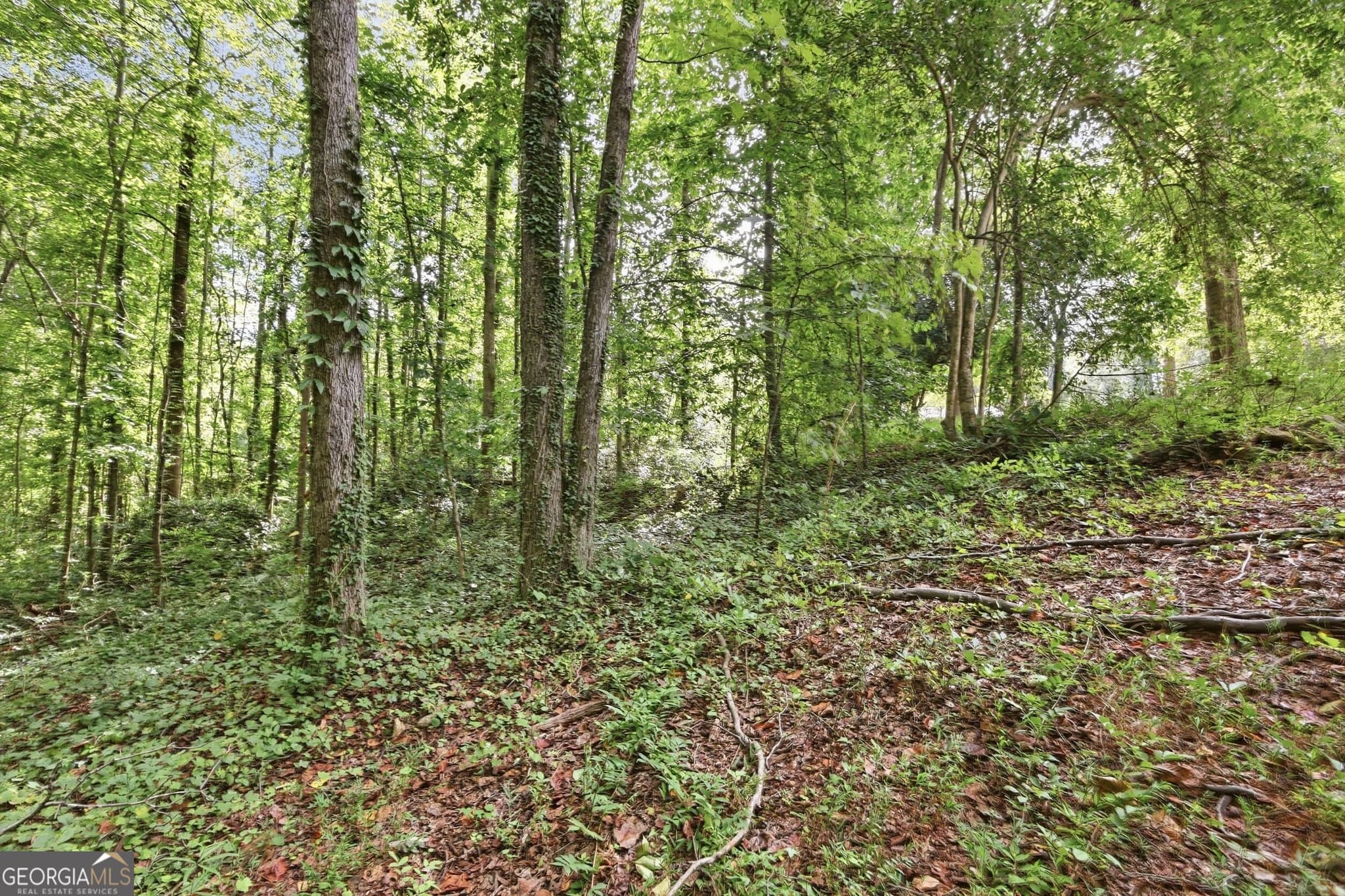 residential lot for sale at 850 FERNSIDE Drive, Toccoa, GA 30577 — photo 10