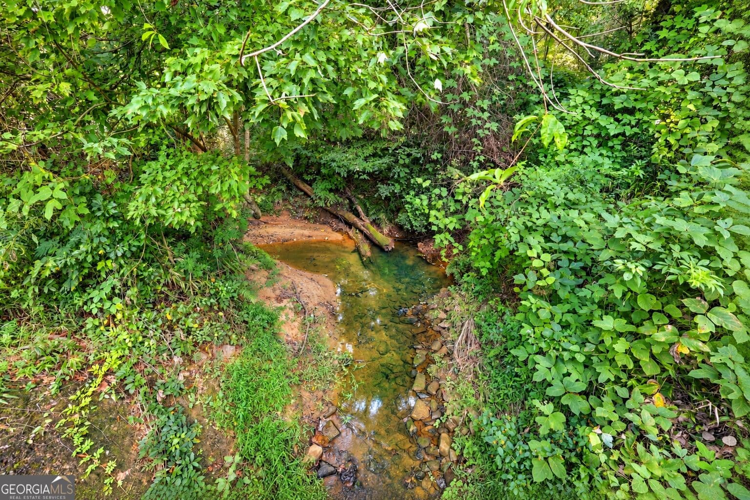 residential lot for sale at 850 FERNSIDE Drive, Toccoa, GA 30577 — photo 4