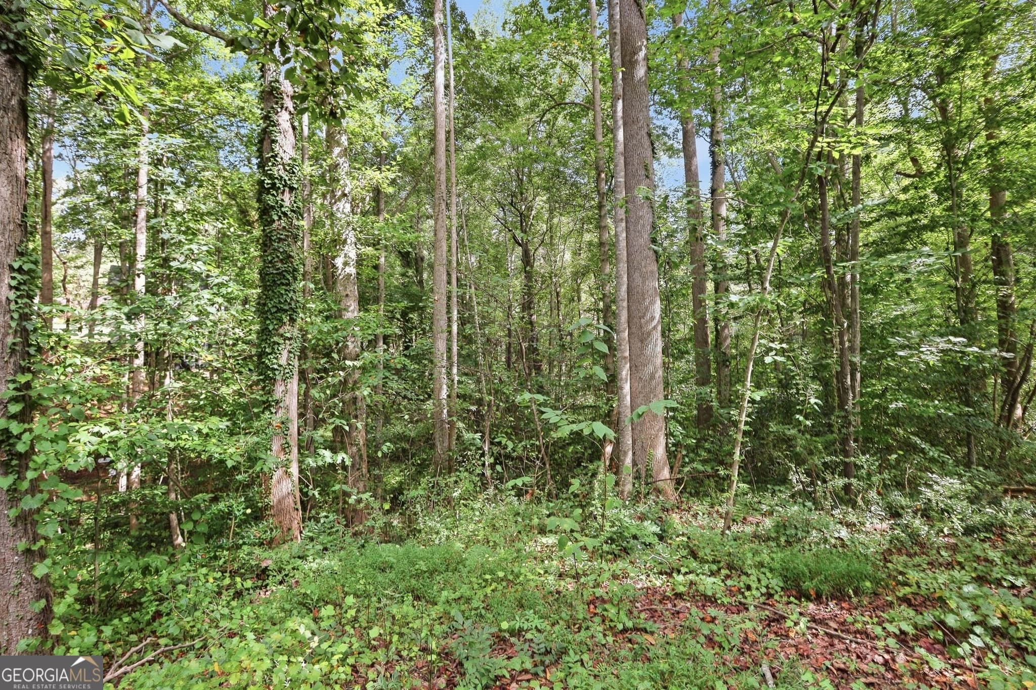 residential lot for sale at 850 FERNSIDE Drive, Toccoa, GA 30577 — photo 8