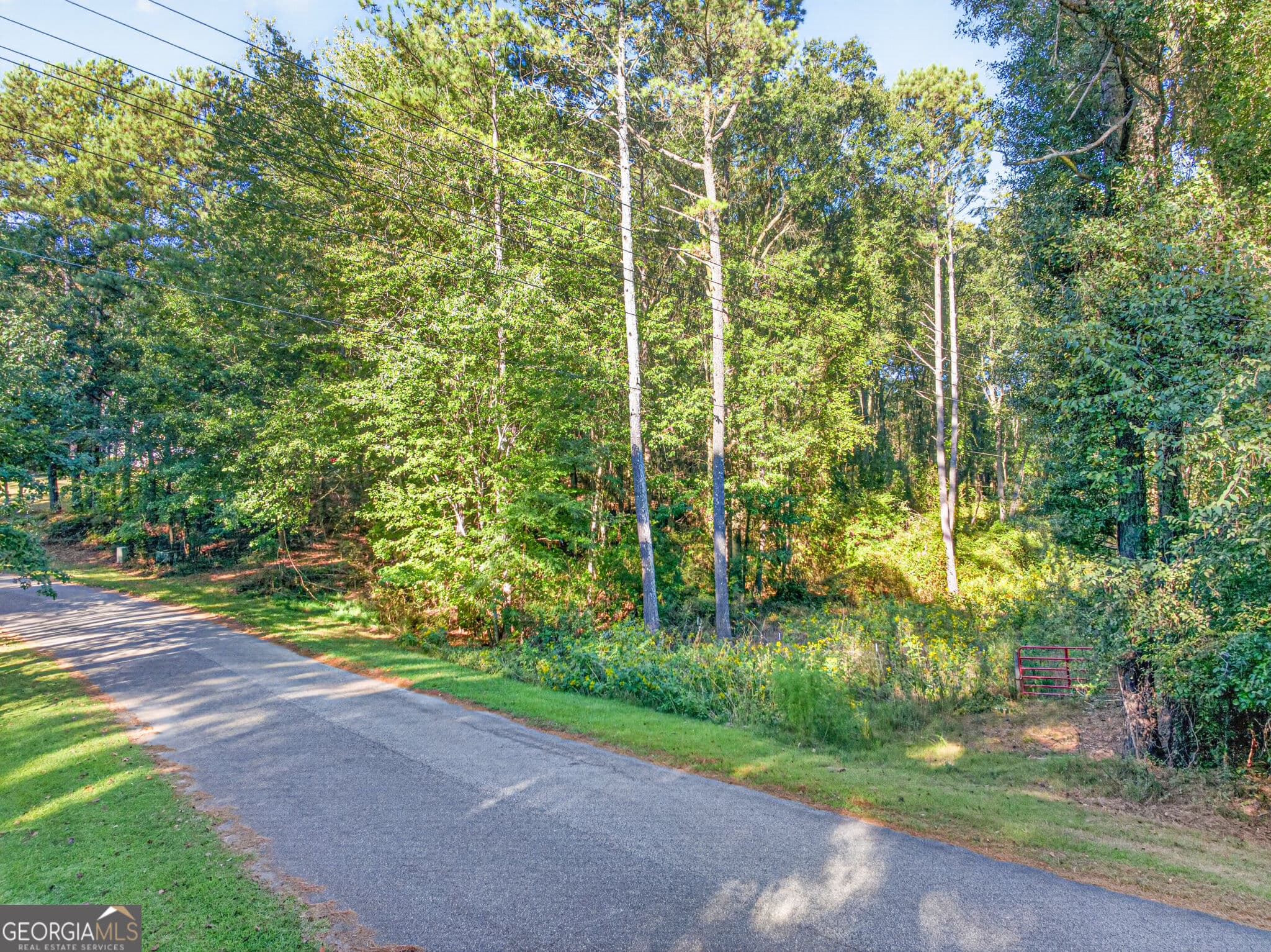 agriculture for sale at 0 Purcell Road, Commerce, GA 30530 — photo 3