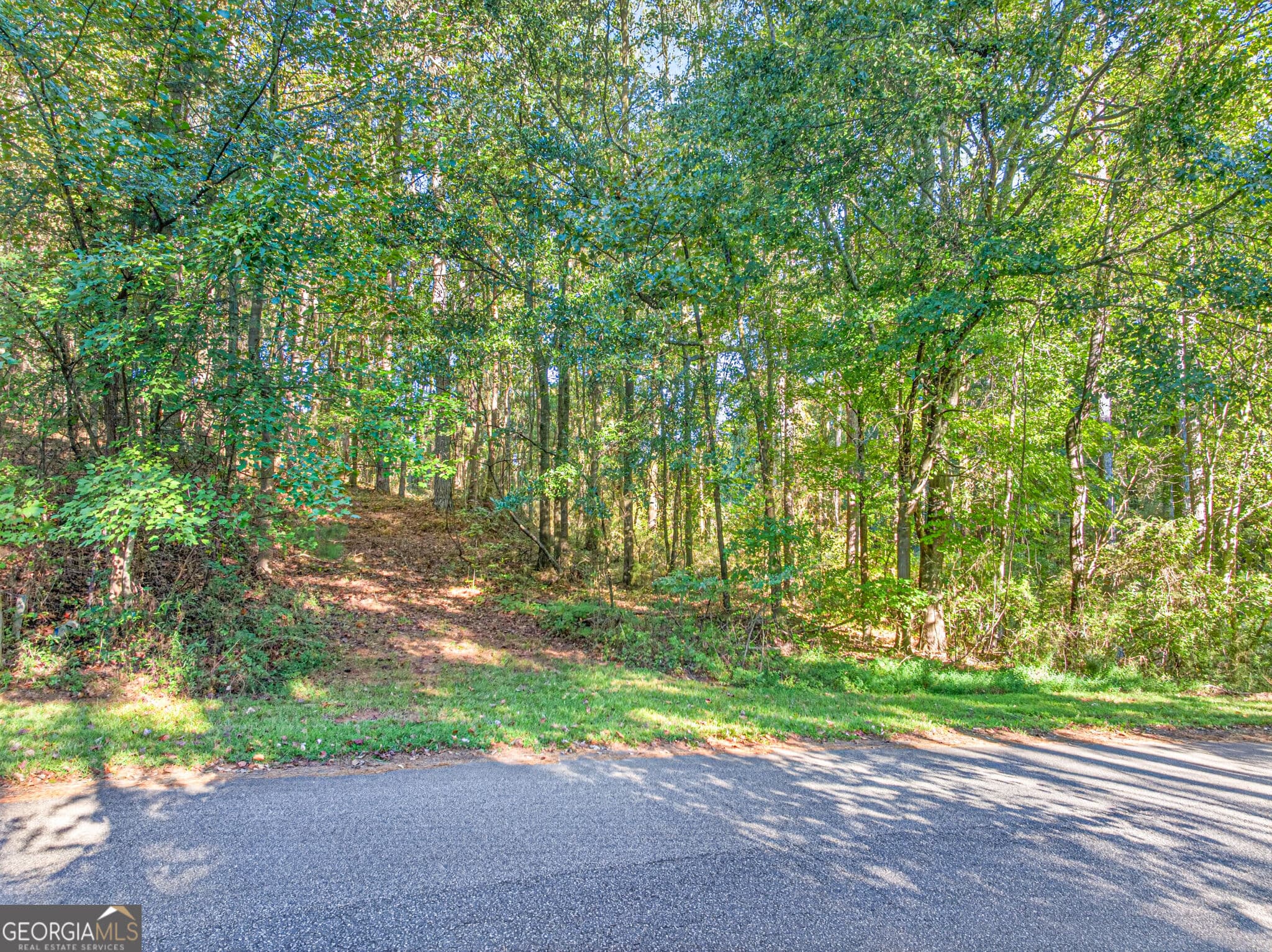 agriculture for sale at 0 Purcell Road, Commerce, GA 30530 — photo 5