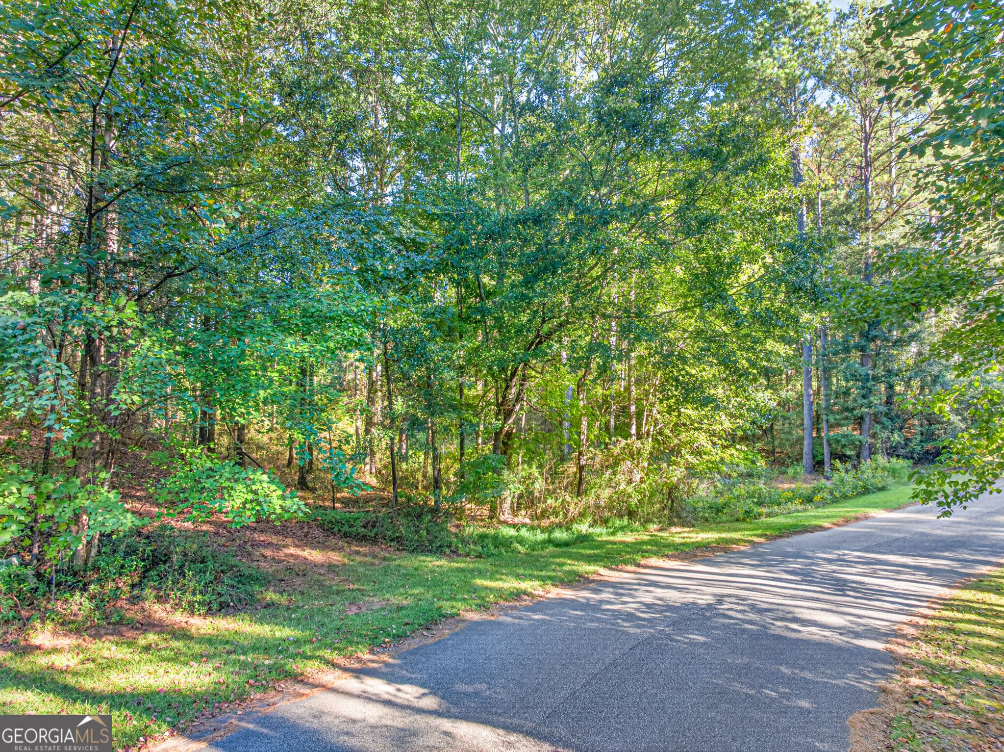 agriculture for sale at 0 Purcell Road, Commerce, GA 30530 — photo 4