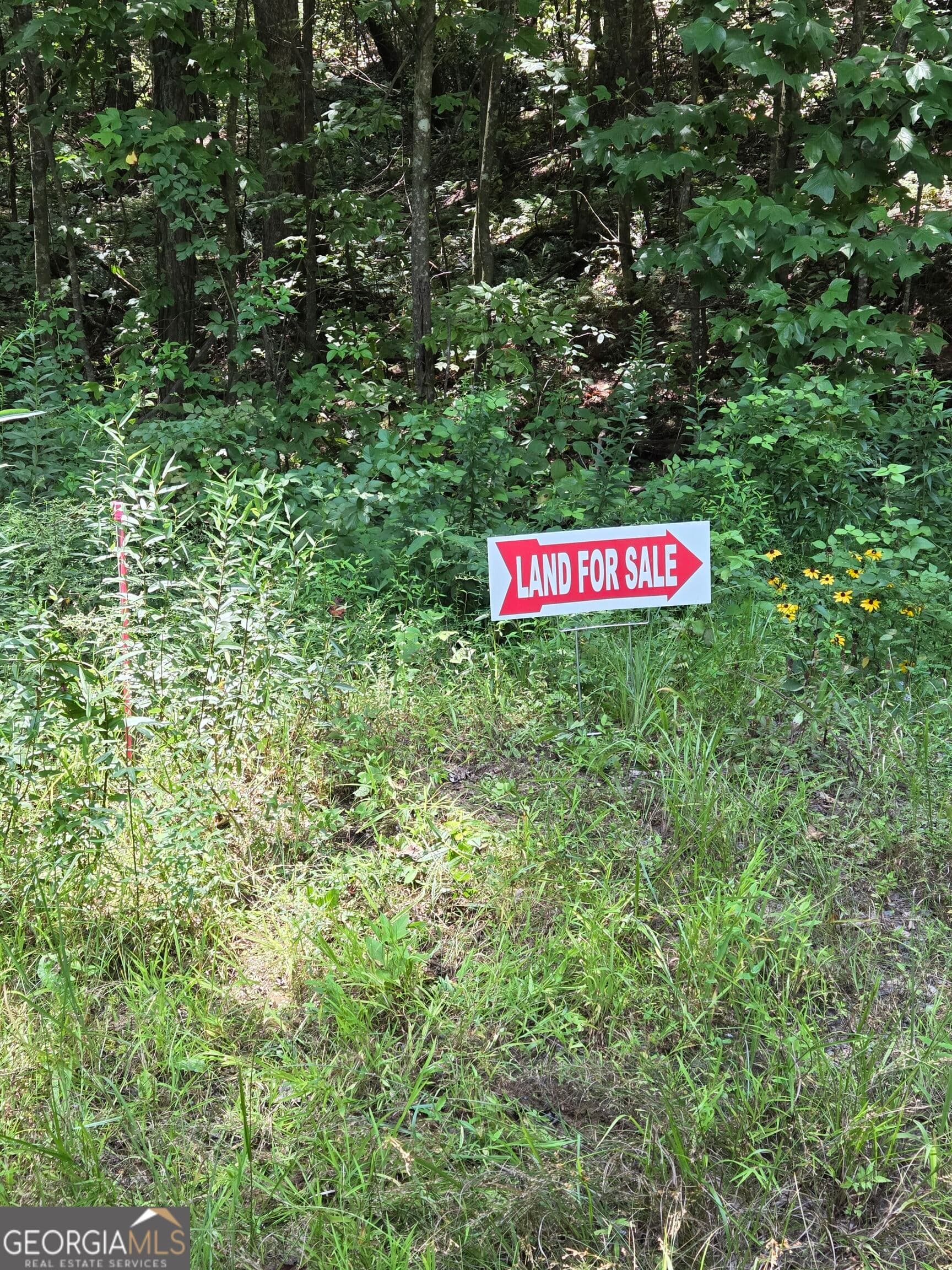 agriculture for sale at 0 Chopped Oak, Ellijay, GA 30540 — photo 6