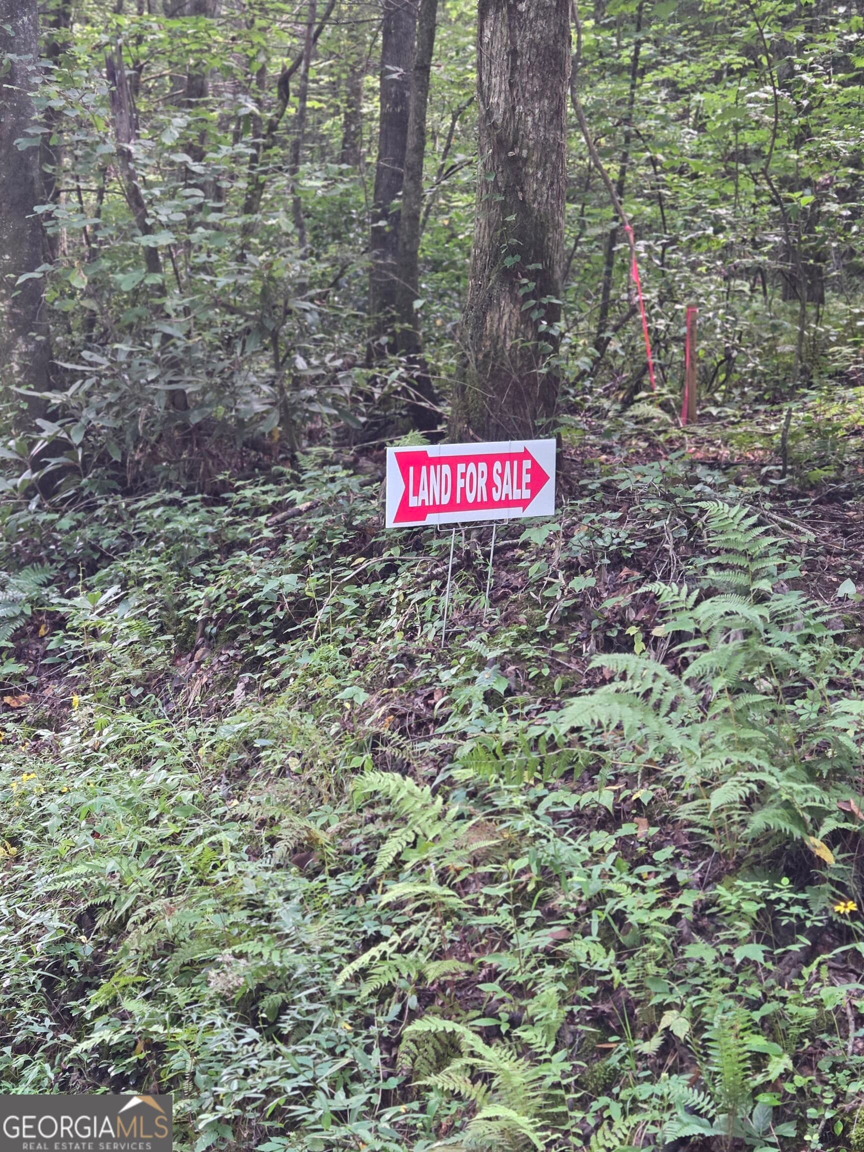 agriculture for sale at 0 Chopped Oak, Ellijay, GA 30540 — photo 7