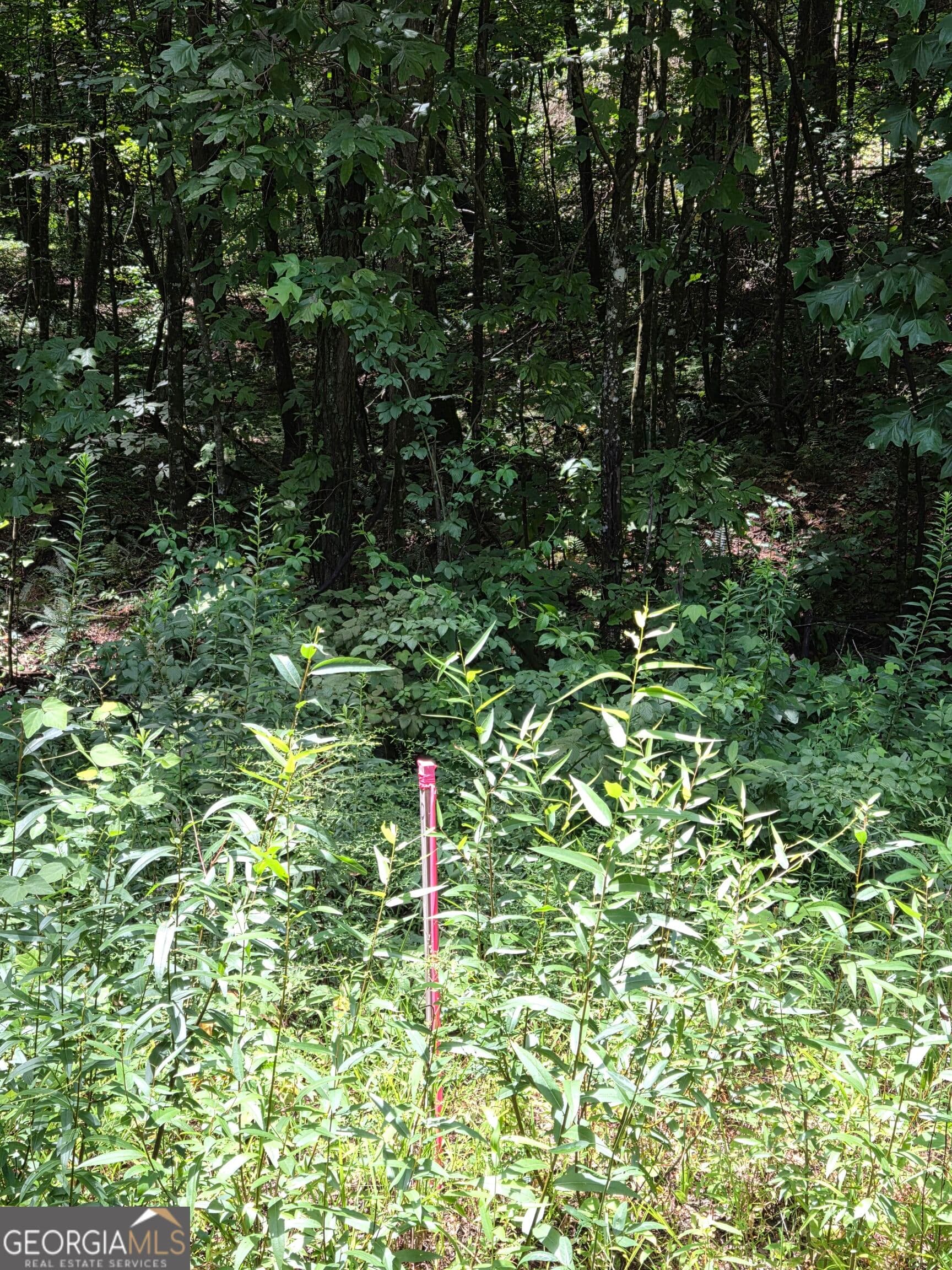 agriculture for sale at 0 Chopped Oak, Ellijay, GA 30540 — photo 3