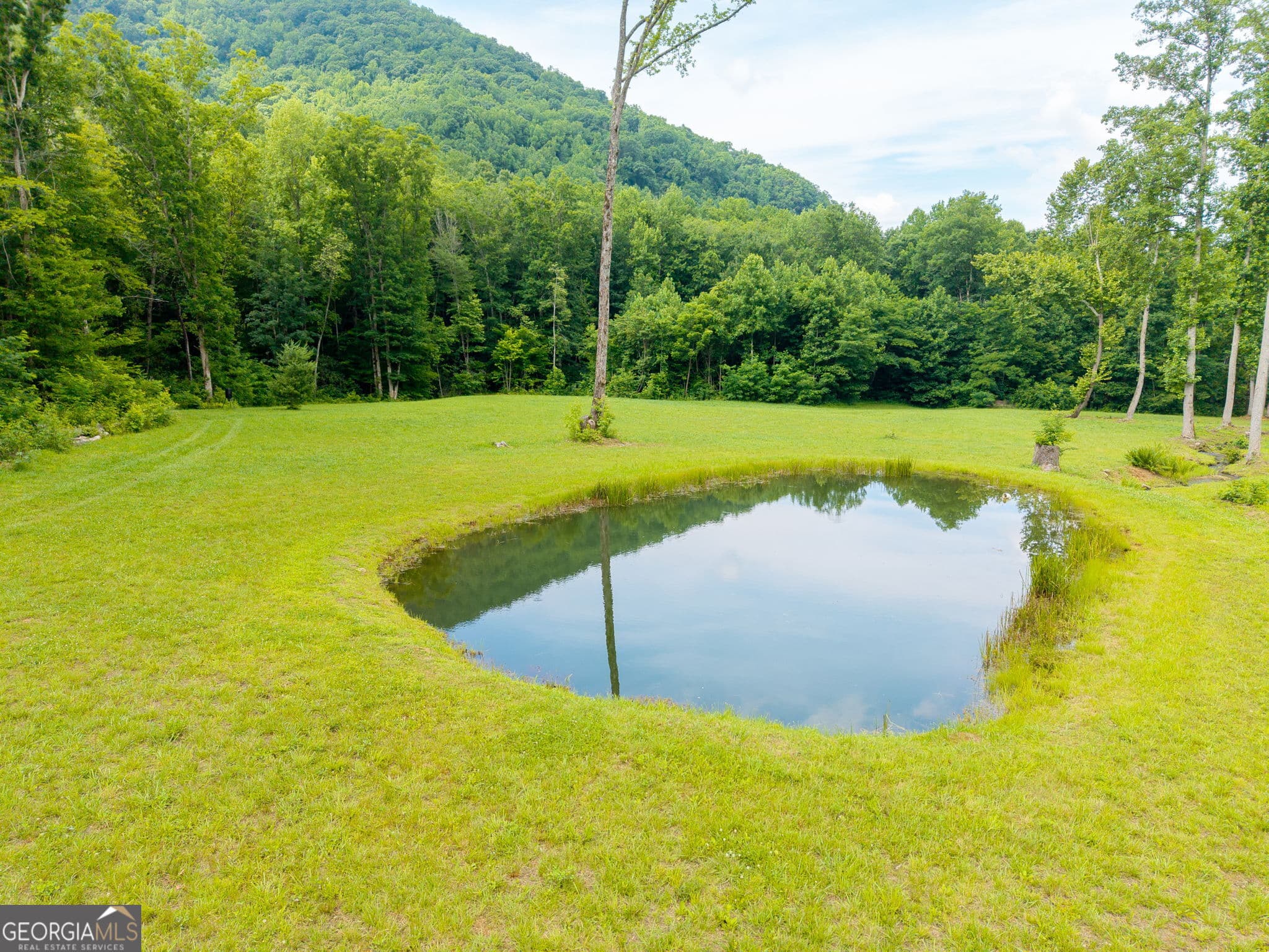 2 bedroom, 2 bathroom single family residence for sale at 1449 Muskrat Creek Road, Hayesville, NC 28904 — photo 9