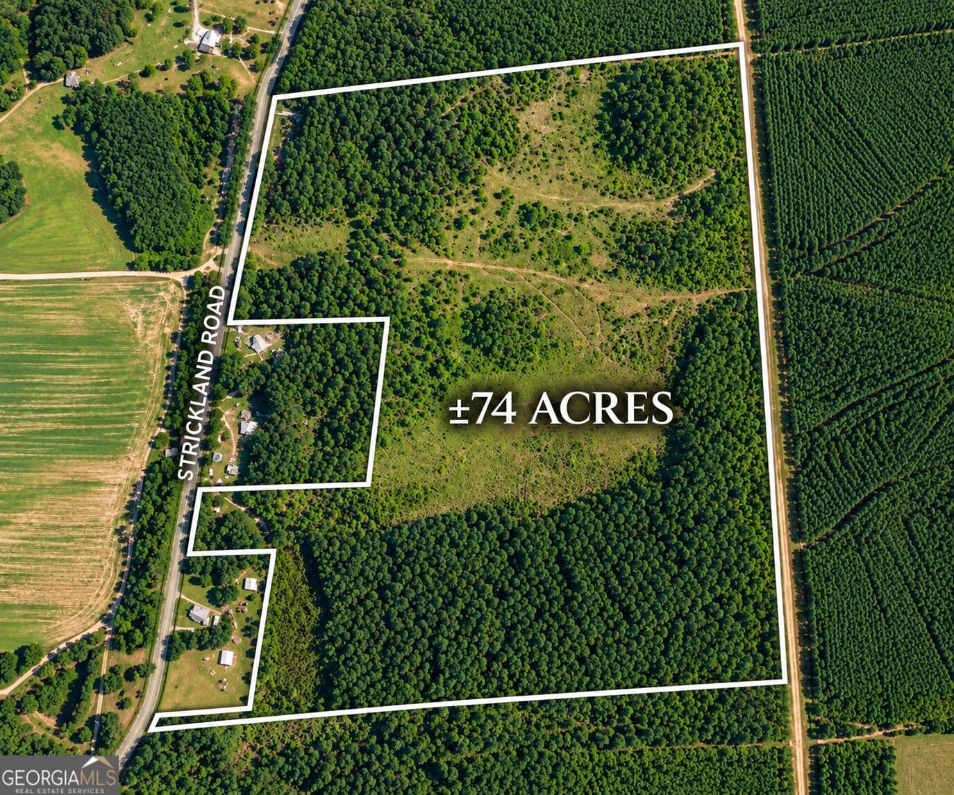 agriculture sold at 0 Strickland Road, Lake Park, GA 31636