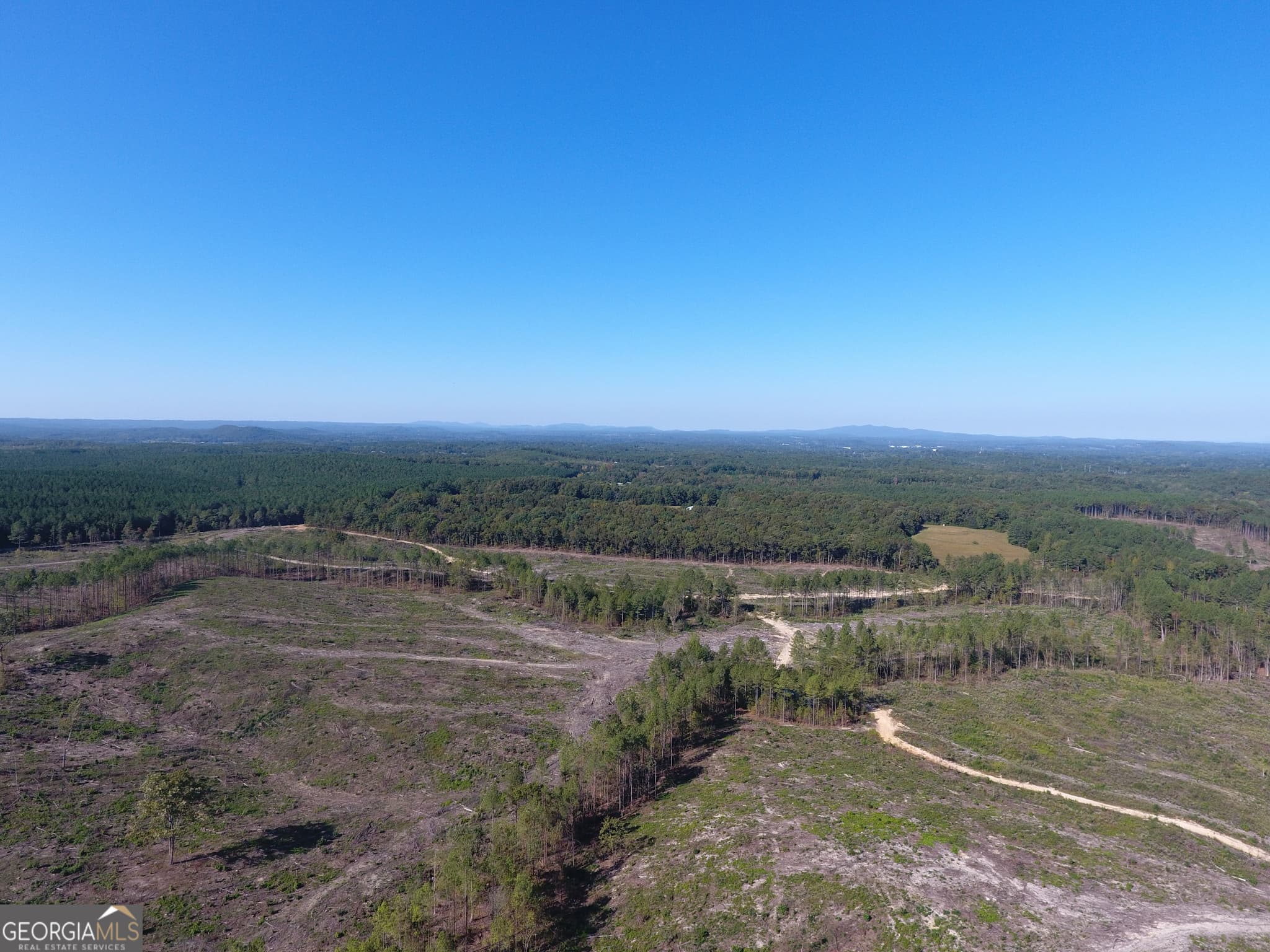 agriculture for sale at 0 Coaling Road 9221-B, Cedartown, GA 30125 — photo 6