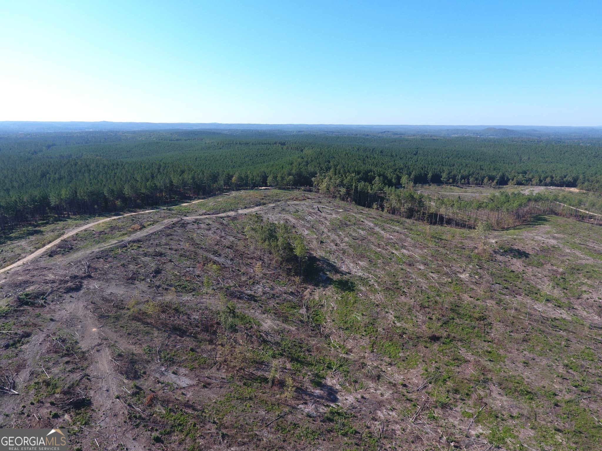 agriculture for sale at 0 Coaling Road 9221-B, Cedartown, GA 30125 — photo 9