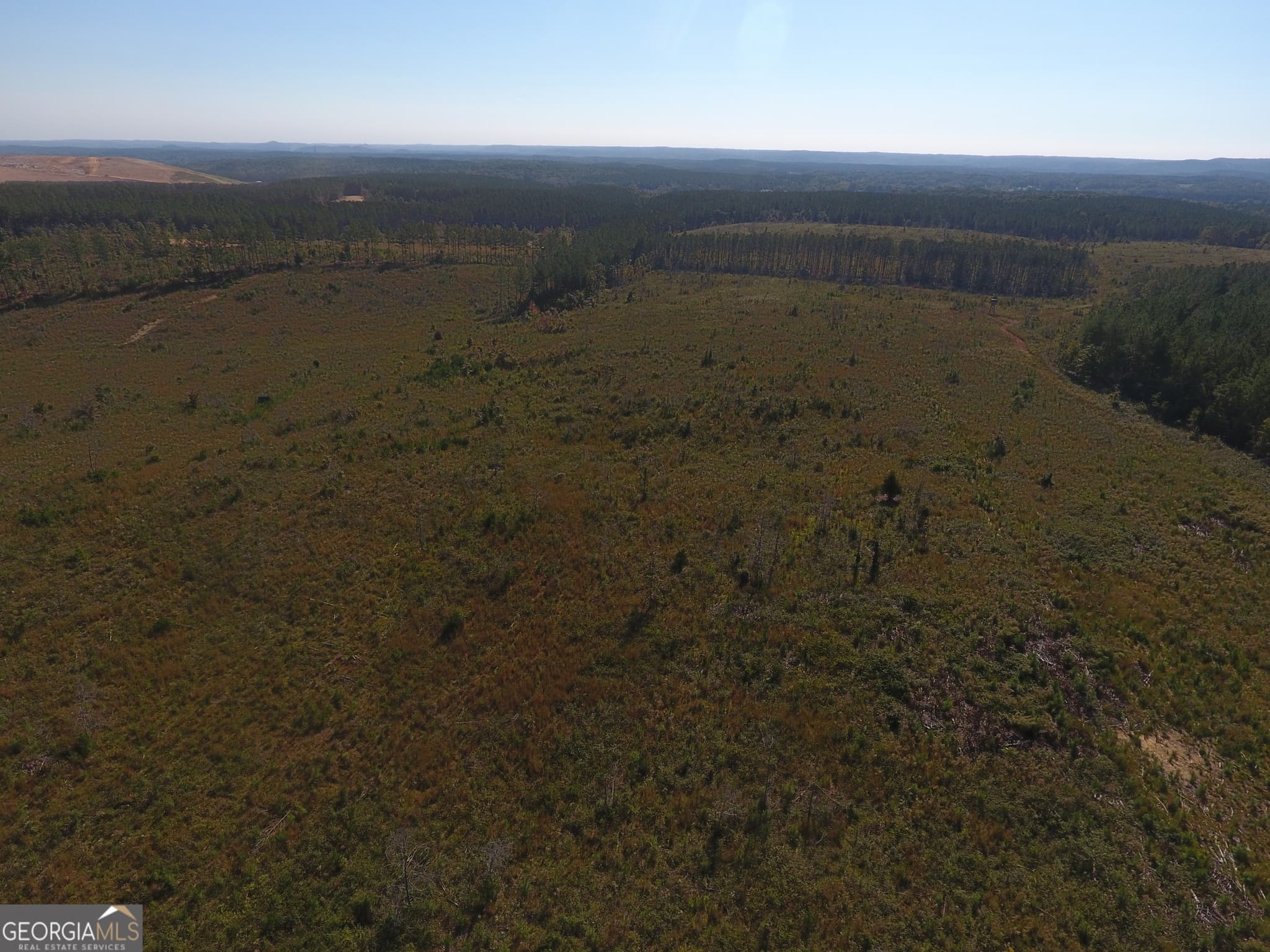 agriculture for sale at 0 Coaling Road 9221-B, Cedartown, GA 30125 — photo 10