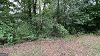 residential lot for sale at 1114 E Shoreview Road, Mcdonough, GA 30253 — photo 2