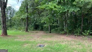residential lot for sale at 1114 E Shoreview Road, Mcdonough, GA 30253 — photo 1 of 7