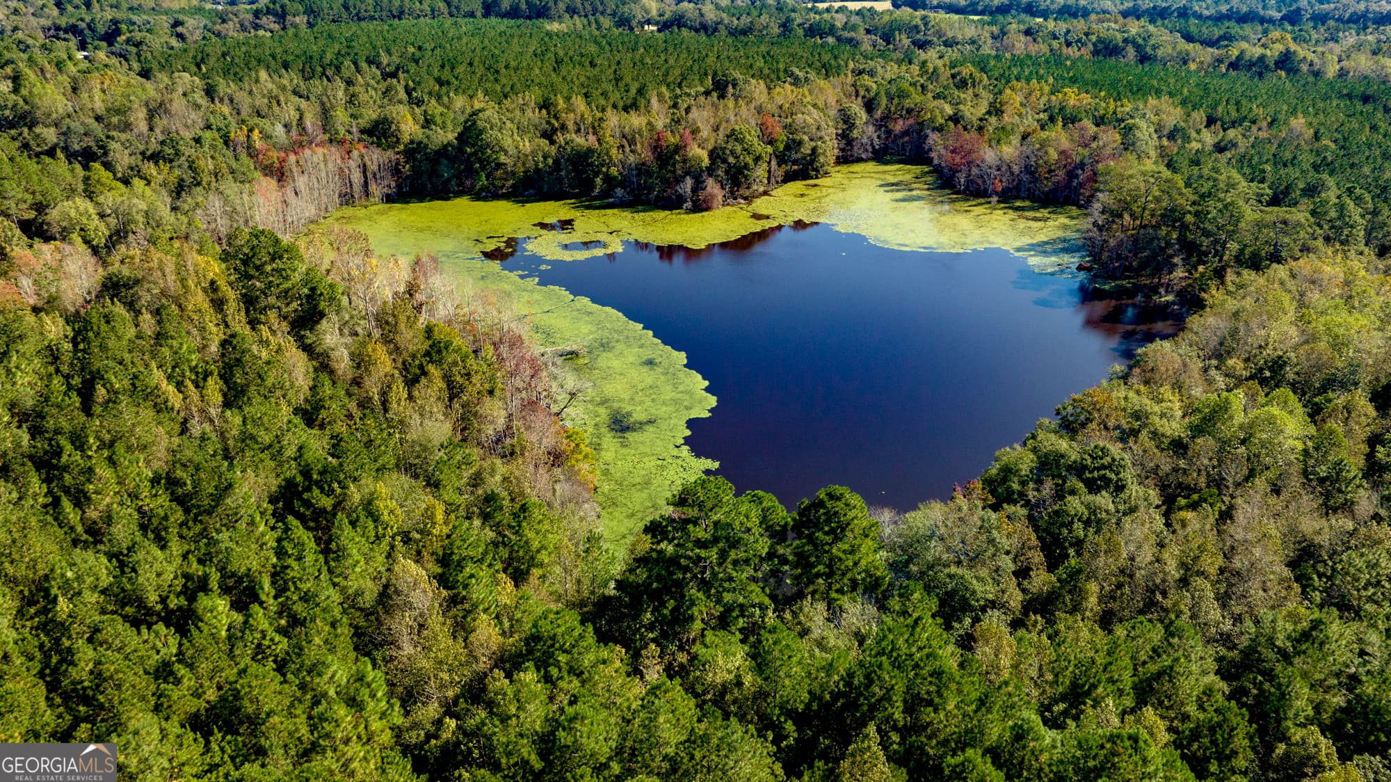 agriculture sold at 2947 Ivey Avenue, Claxton, GA 30417