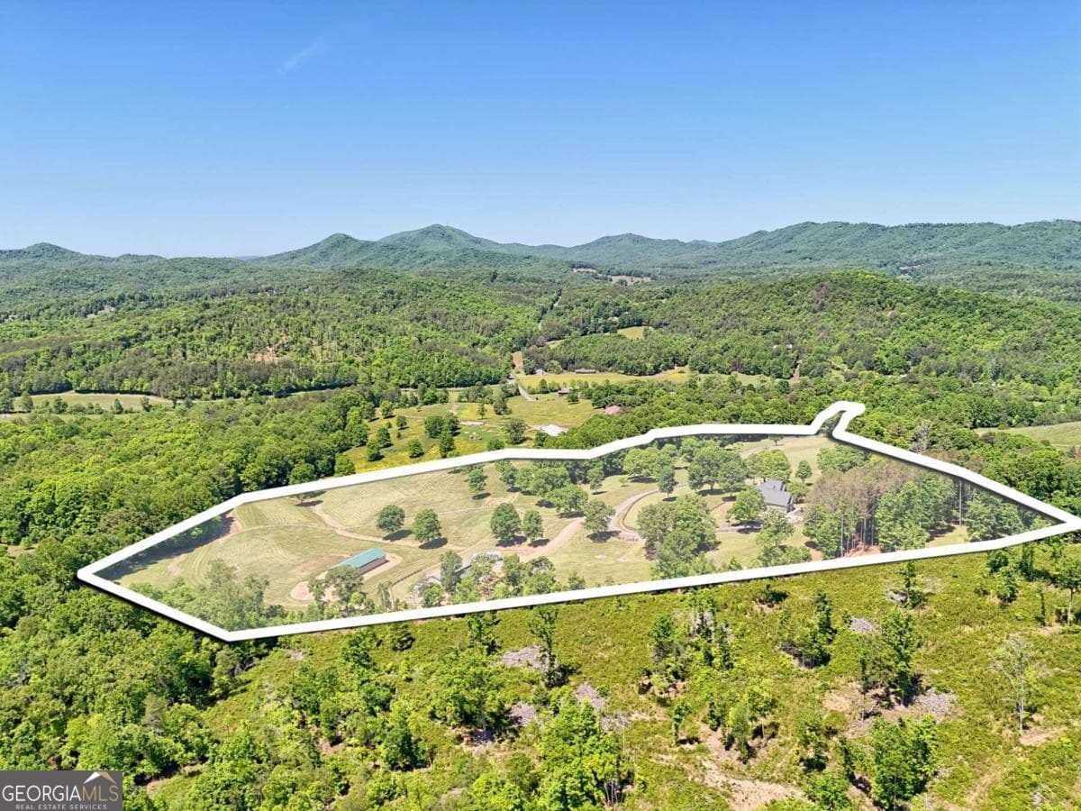 3 bedroom, 3 bathroom single family residence for sale at 1193 Pine Log Road, Warne, NC 28909 — photo 2