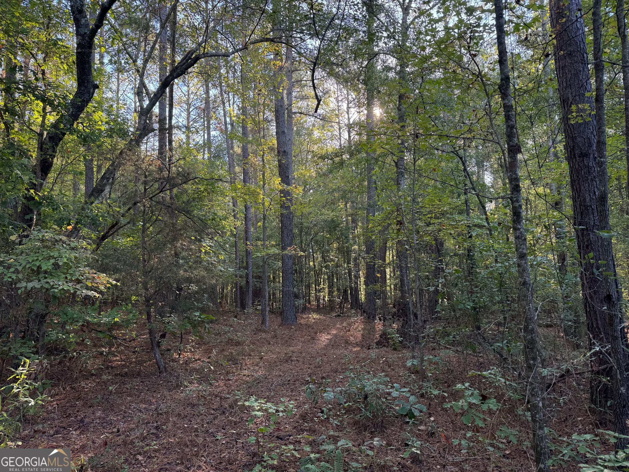 residential lot for sale at TRACT 15 Butler Road, Franklin, GA 30217 — photo 2