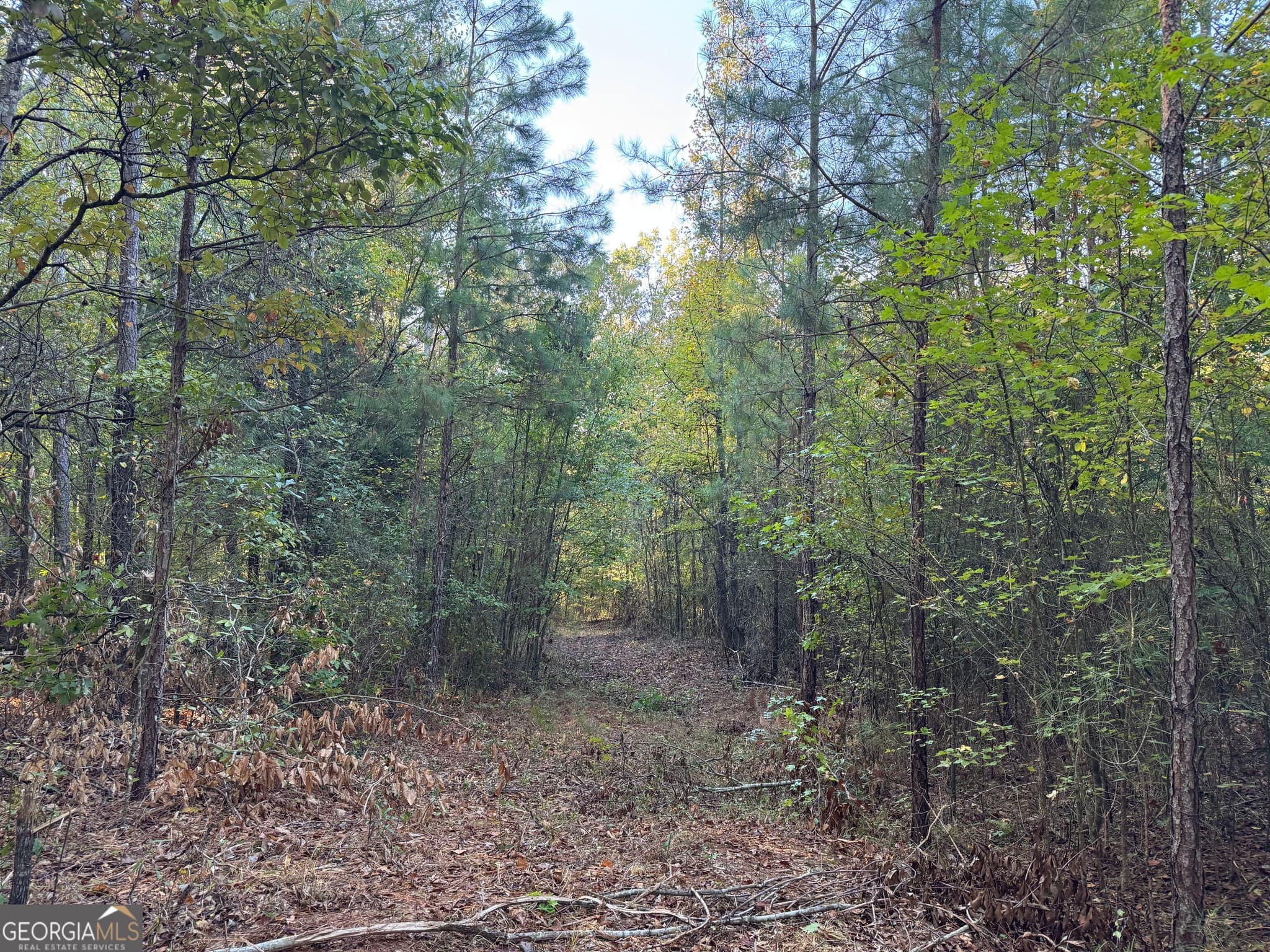 residential lot for sale at TRACT 15 Butler Road, Franklin, GA 30217 — photo 3